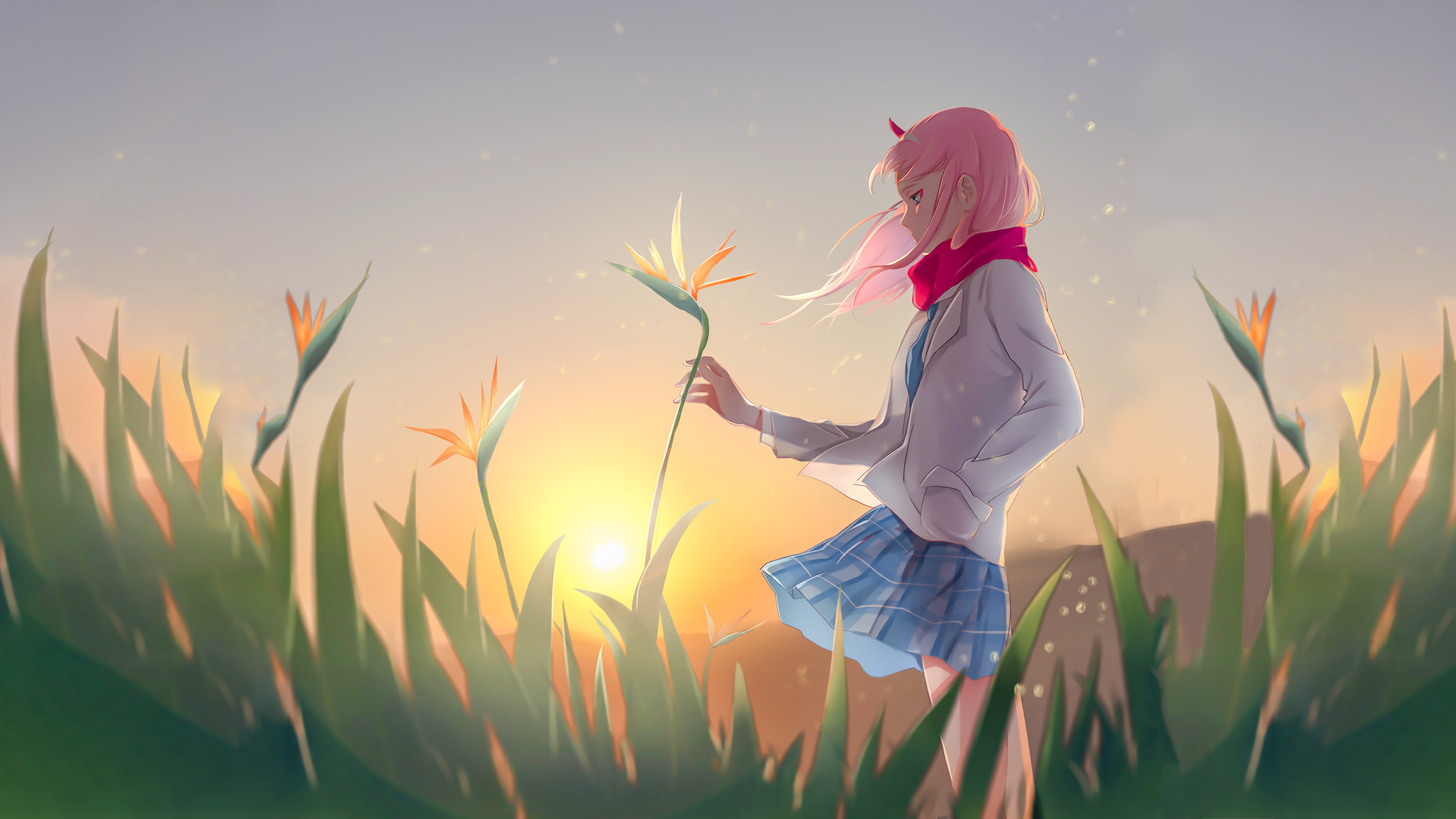 Darling in the franxx pink hair zero two with red scarf is touching yellow flower in sunbeam Wallpaper 2K anime