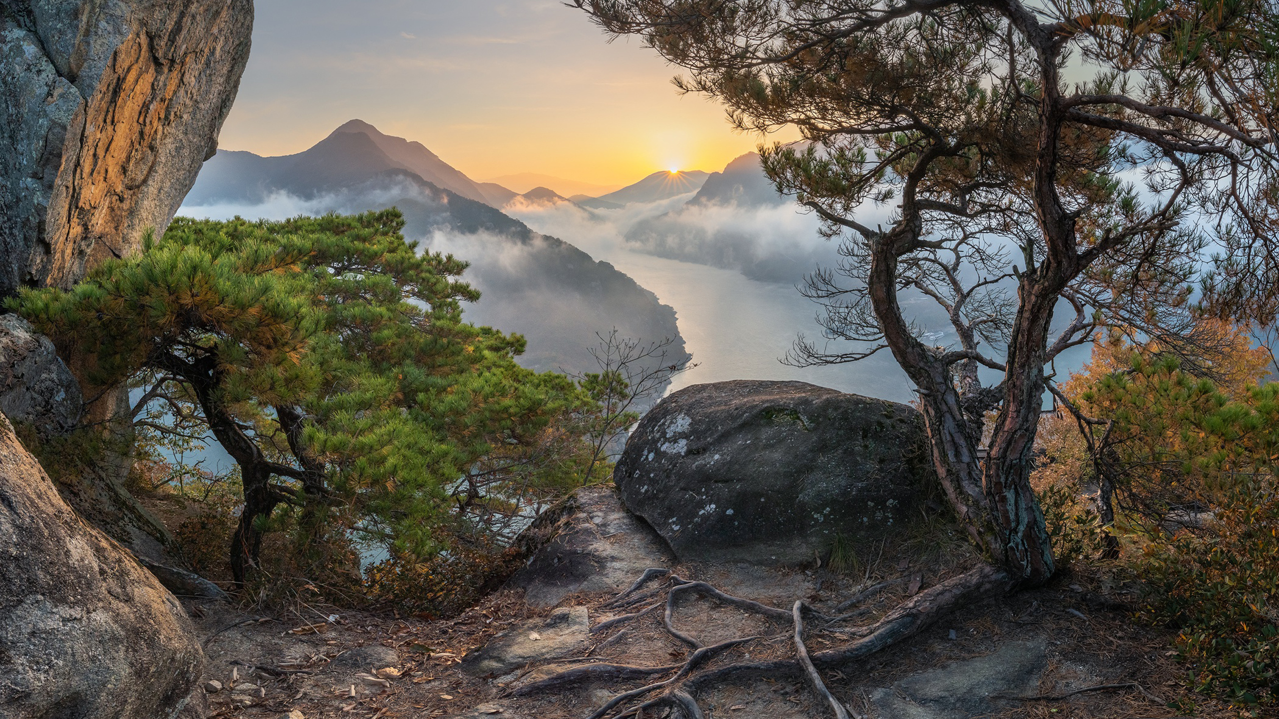 South Korea Mountain With Clouds And Tree Roots During Sunset 2K Nature