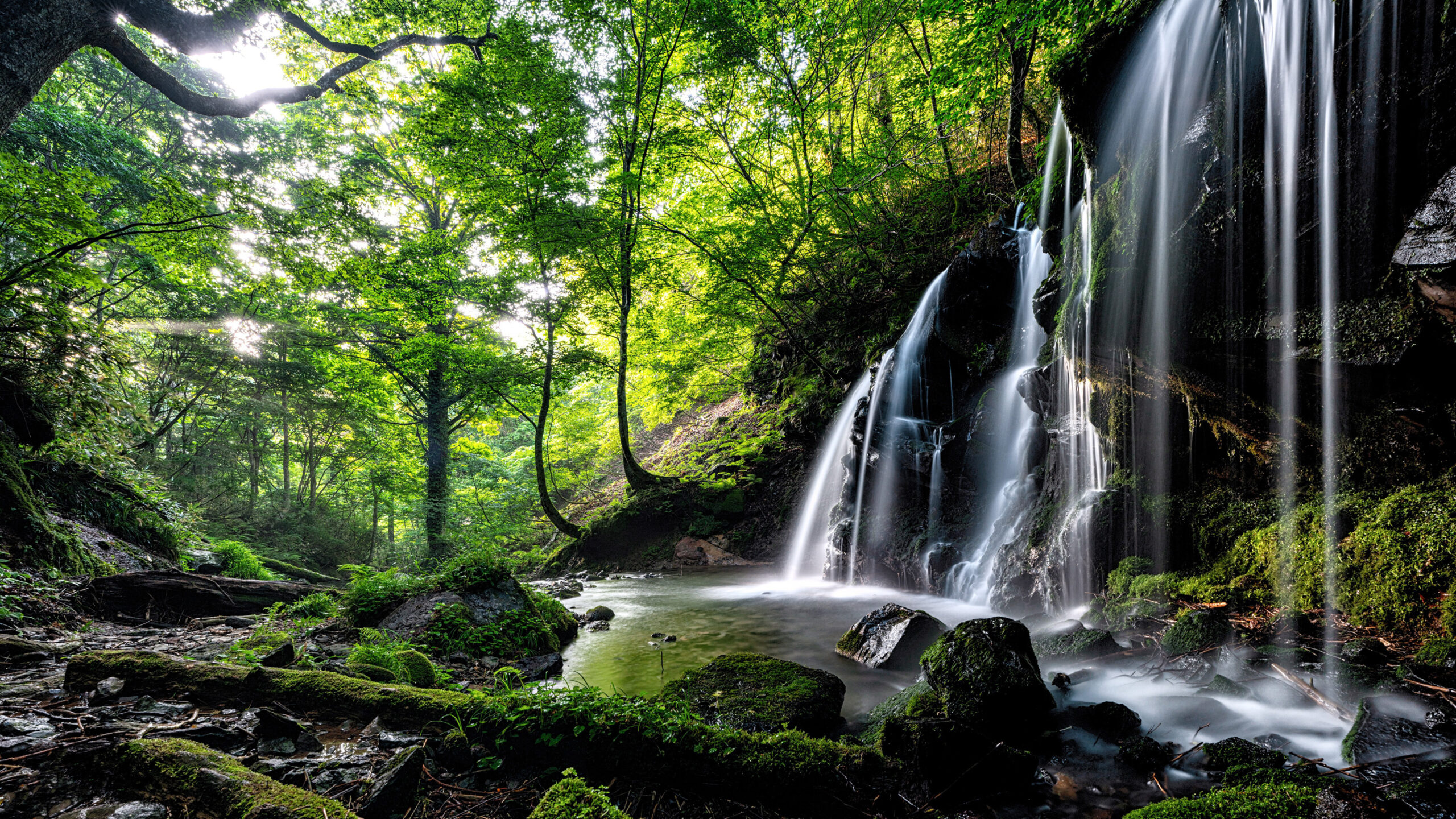 Waterfalls And Foliage Green Trees K 2K Nature
