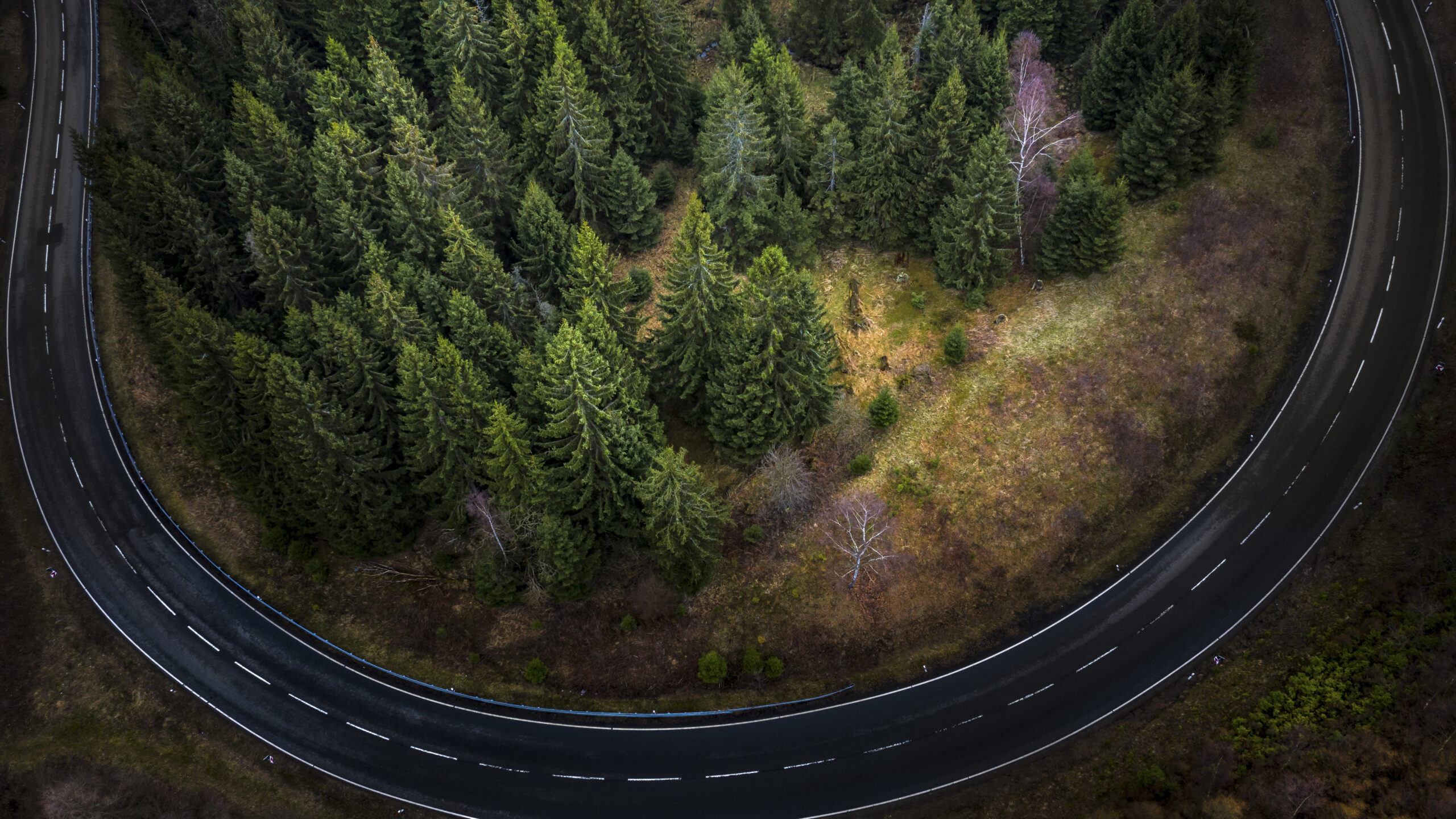 Aerial View Of Road Fir Tree Nature Forest Photography K K 2K Photography