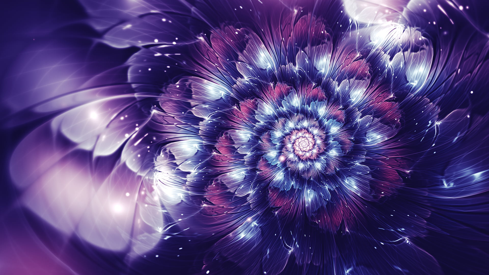 Purple And Pink Petaled Flower Artwork 2K Abstract
