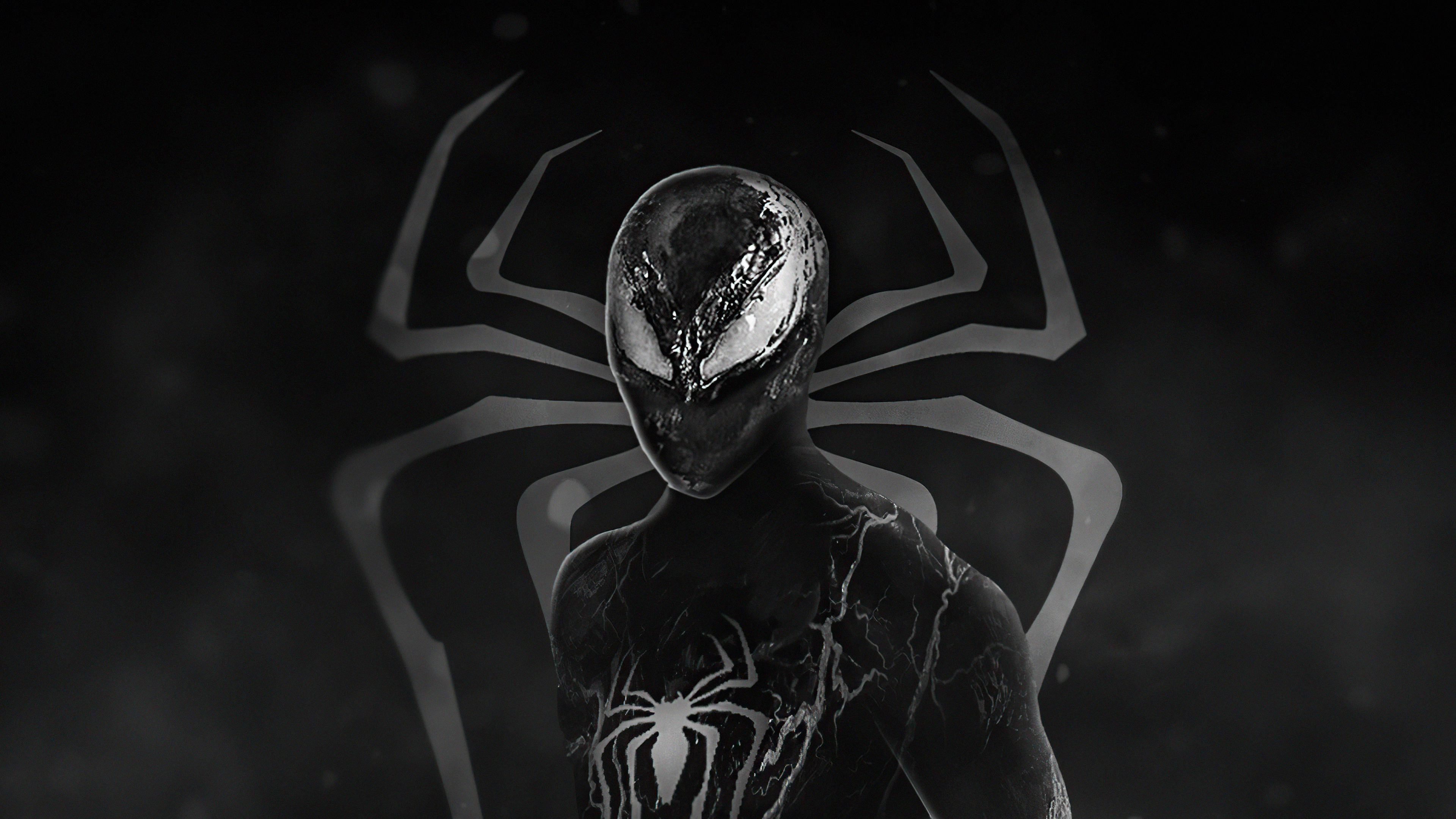 The Amazing Spider Man VenomVerse K 2K Superheroes