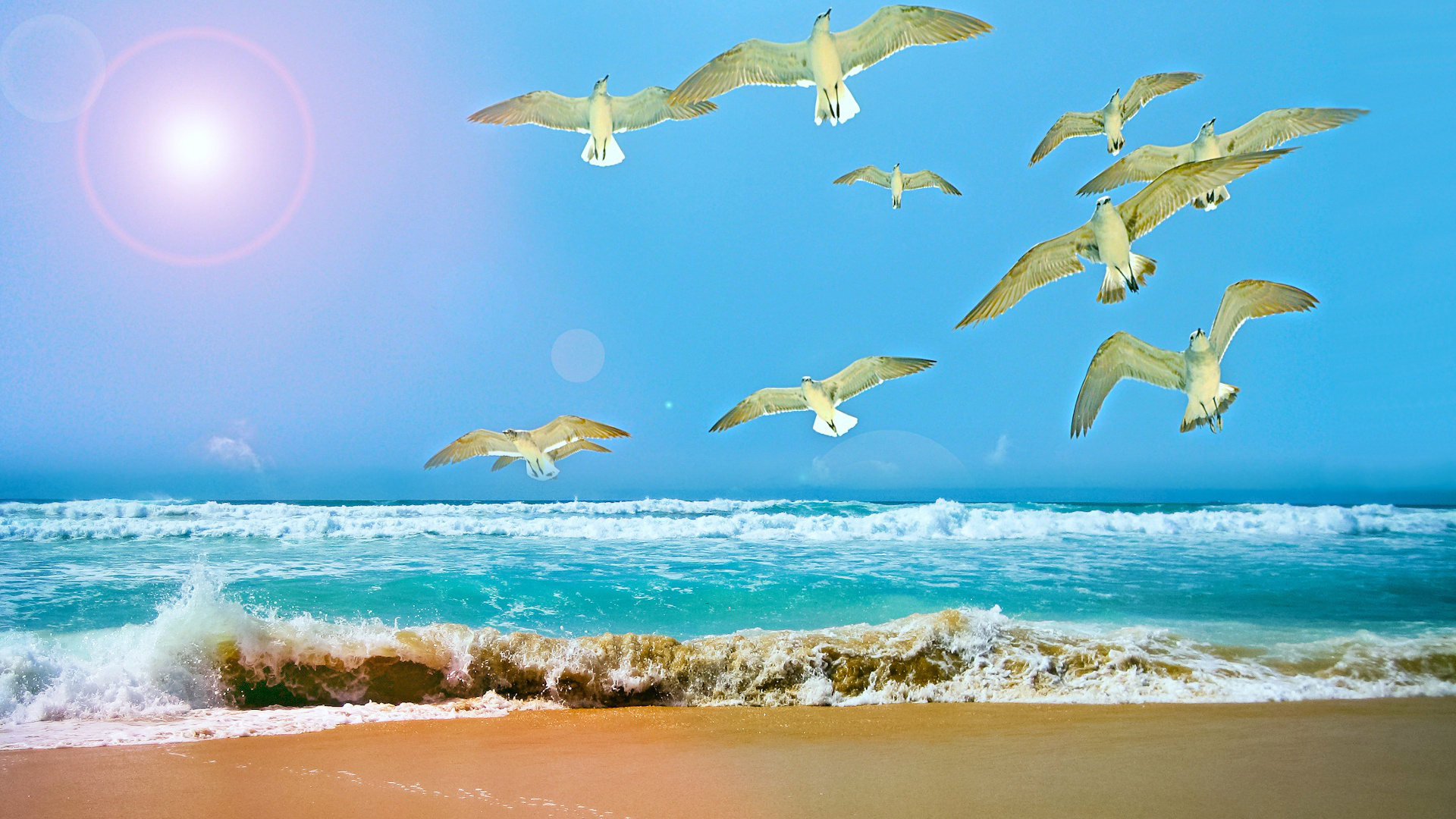 White Flying Seagulls Near Body Of Water During Daytime 2K Animals