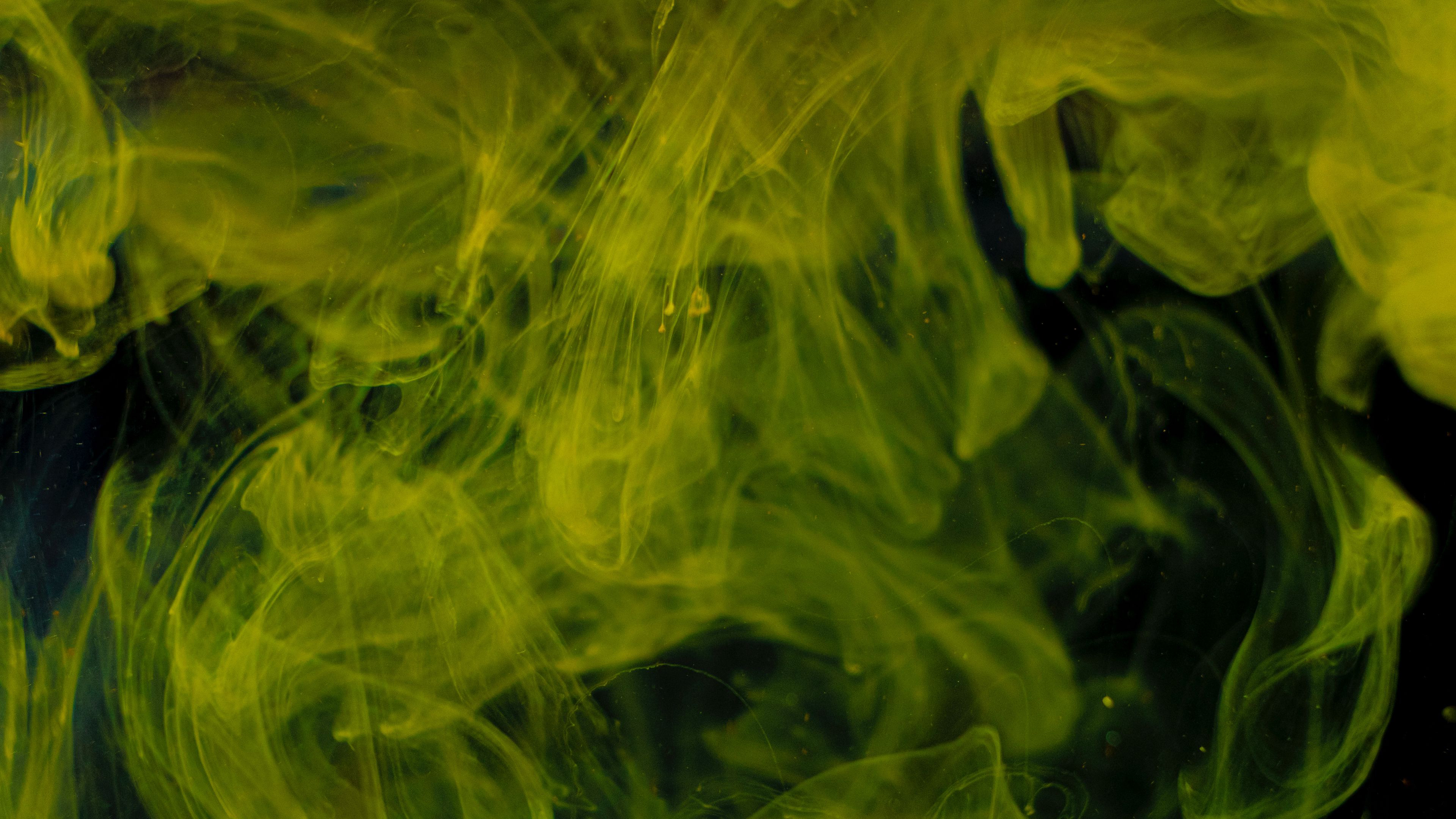 Green Paint Yellow Water K 2K Abstract
