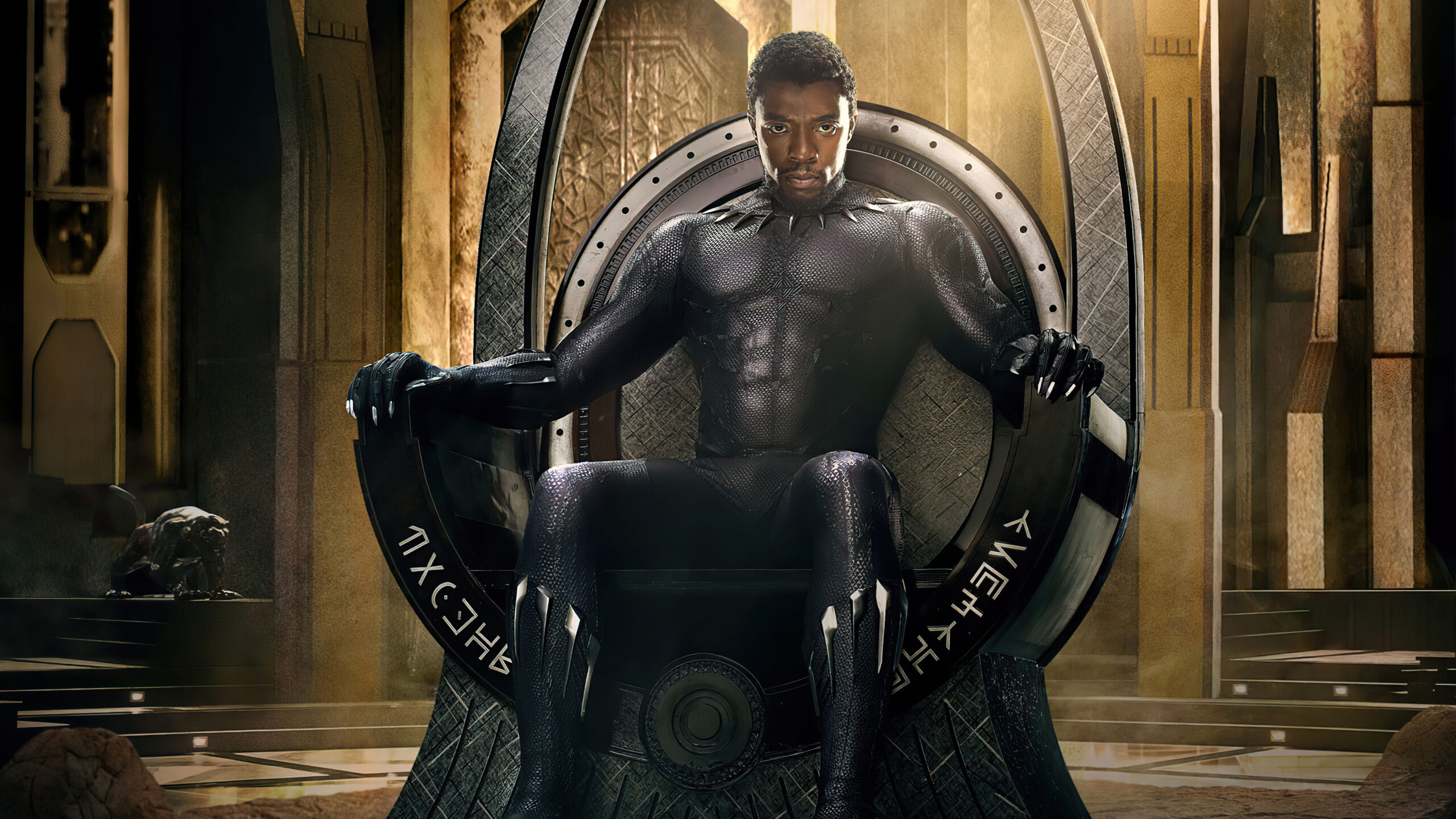 Black Panther Chadwick Boseman K K 2K Black Panther