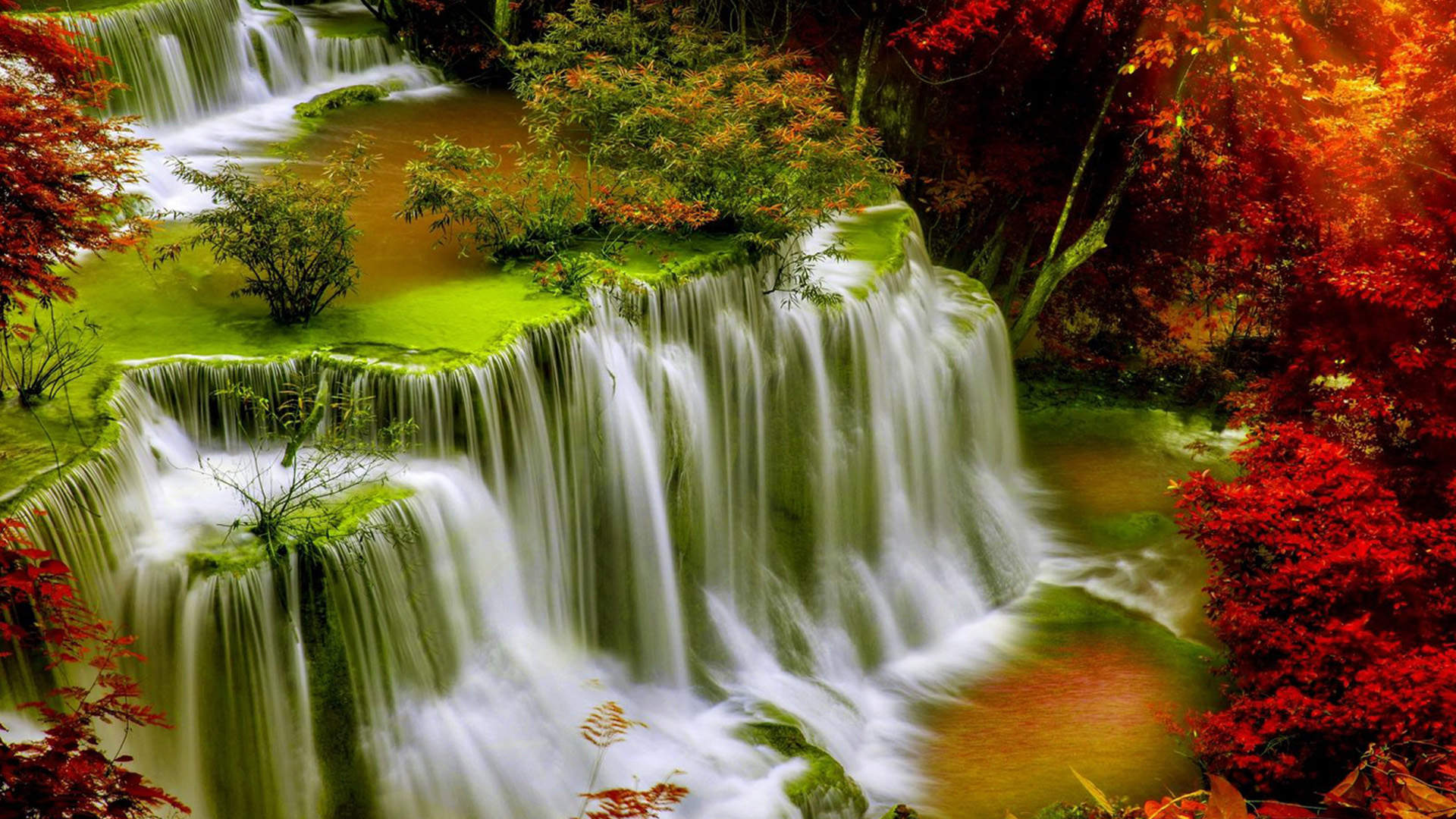 4K Angle View Of Greenery Stream Waterfalls Surrounded By Colorful Autumn Trees 2K Nature