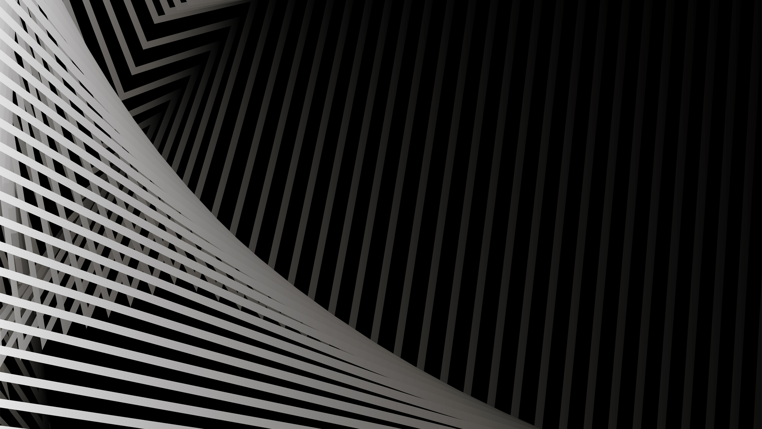 Black & White Digital Art Lines 2K Abstract
