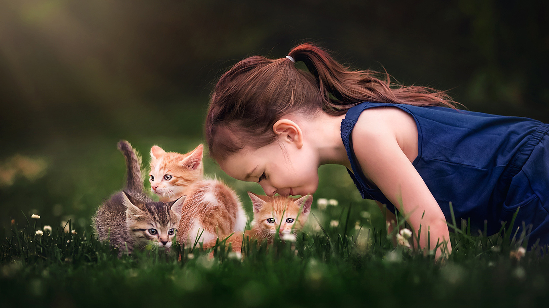 Cute Little Girl Is Lying Down On Green Grass And Kissing Kittens Wearing Blue Dress 2K Cute