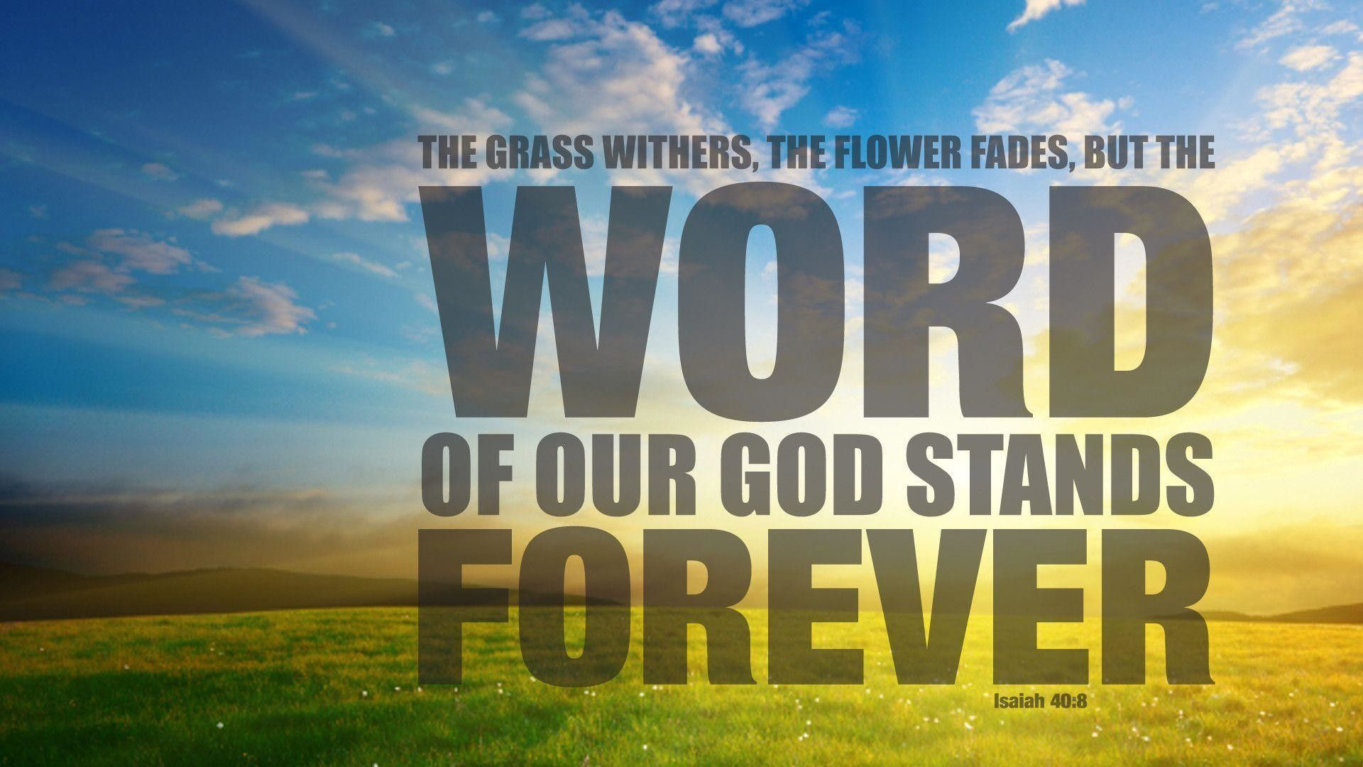 The Grass Withers The Flower Fades But The Word Of Our God Stands Forever 2K Bible Verse