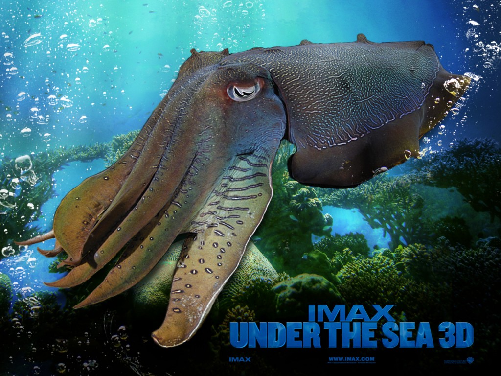 IMAX Under The Sea ()