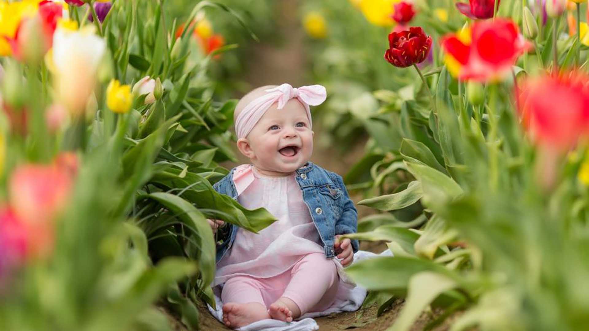 Smiling Cute Baby Girl Is Wearing Light Pink Dress Blue Jeans Overcoat Sitting In Colorful Flowers Wallpaper 2K Cute