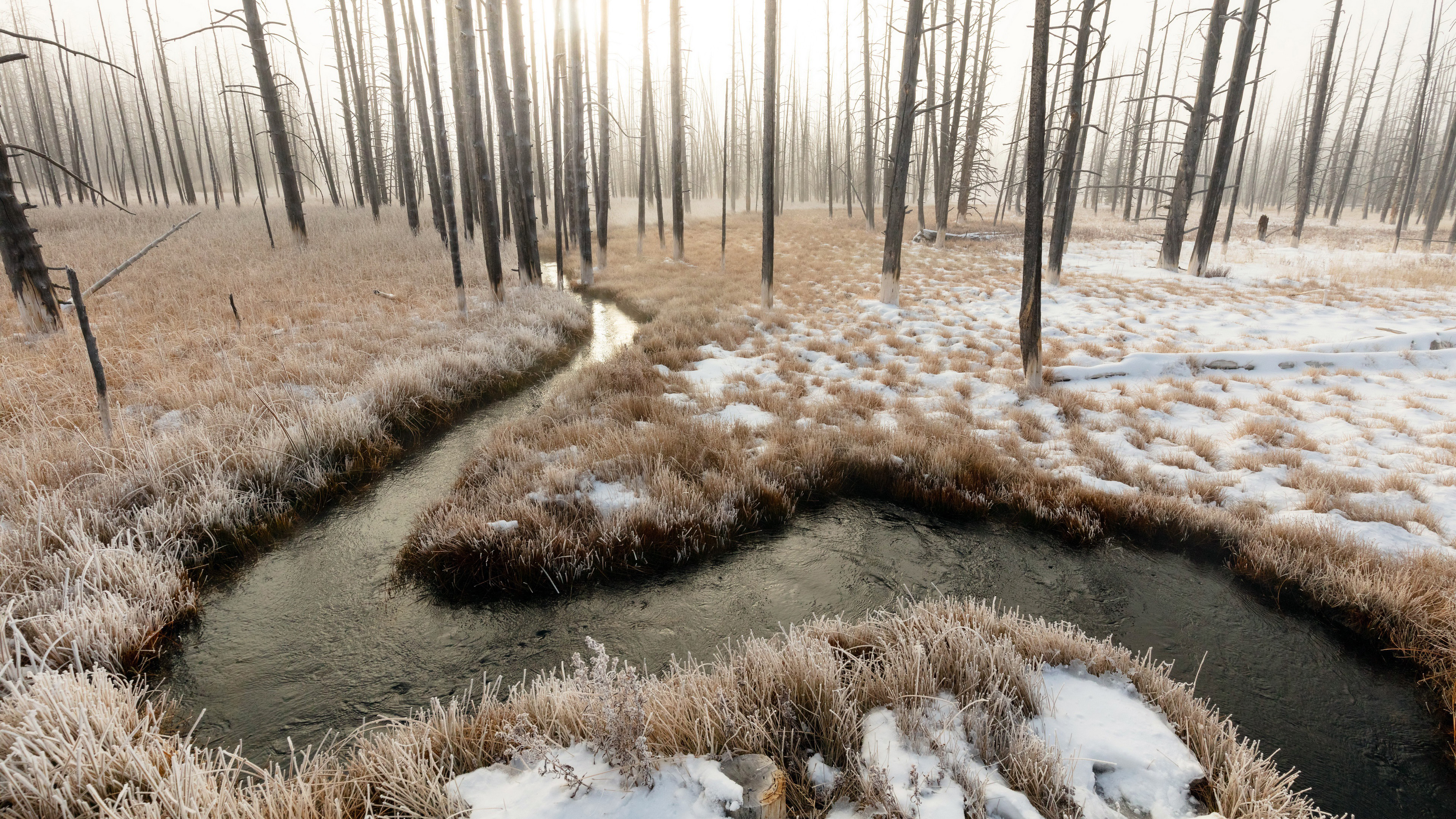 Water Stream Between Snow Covered Dry Grass Field K 2K Nature