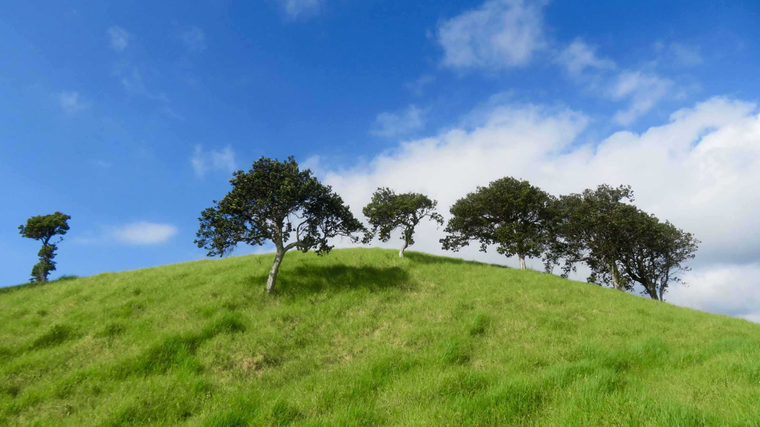Green Grass Hills Trees Slope Mountain In White Clouds Blue Sky Wallpaper K 2K Nature