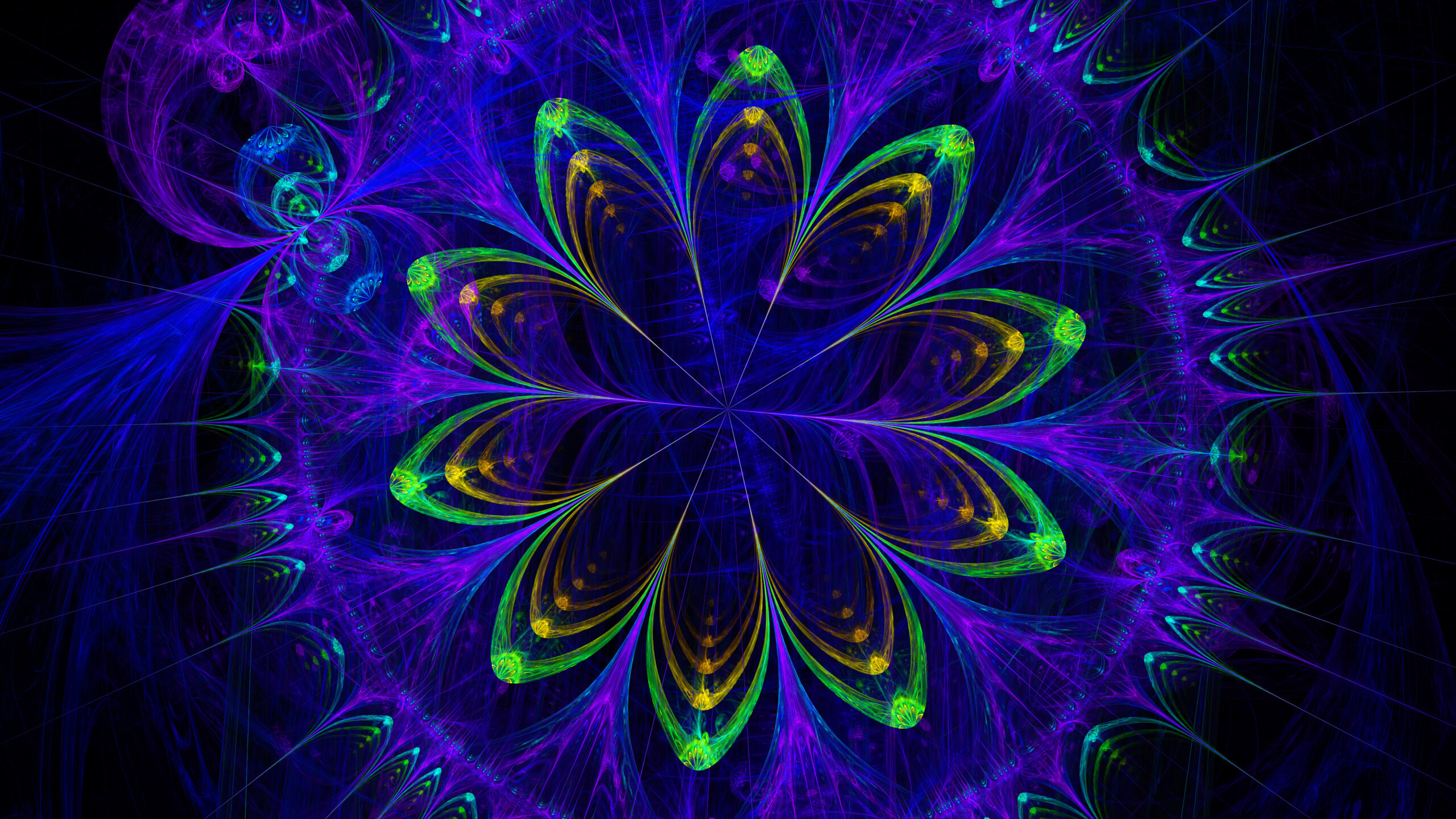 Colorful Flower Pattern K 2K Abstract