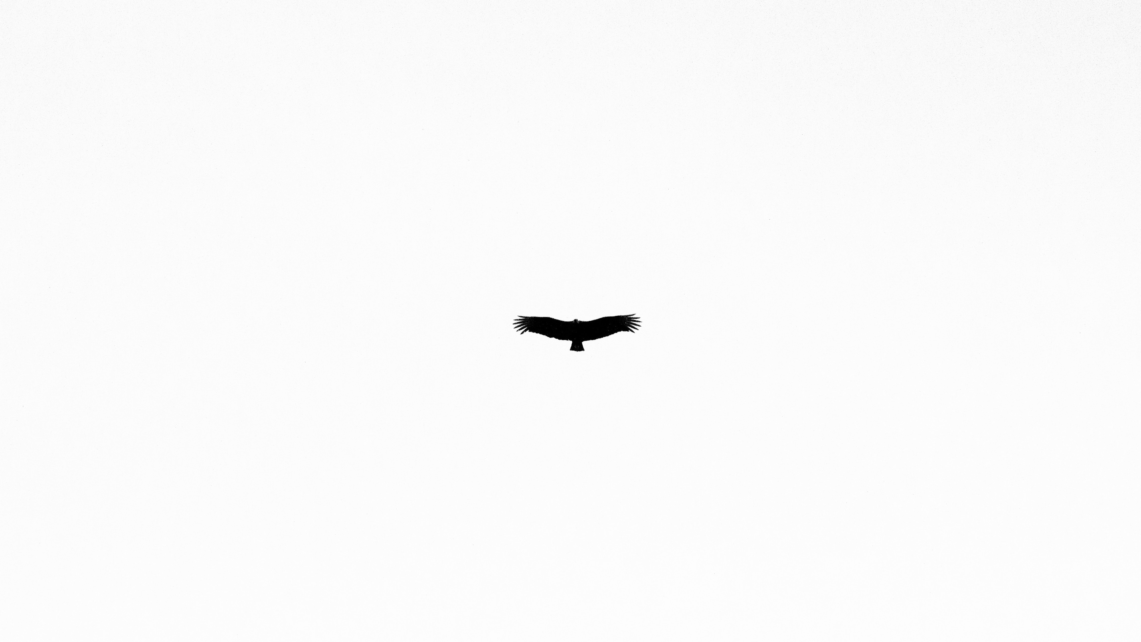 White Wallpaper K 2K White