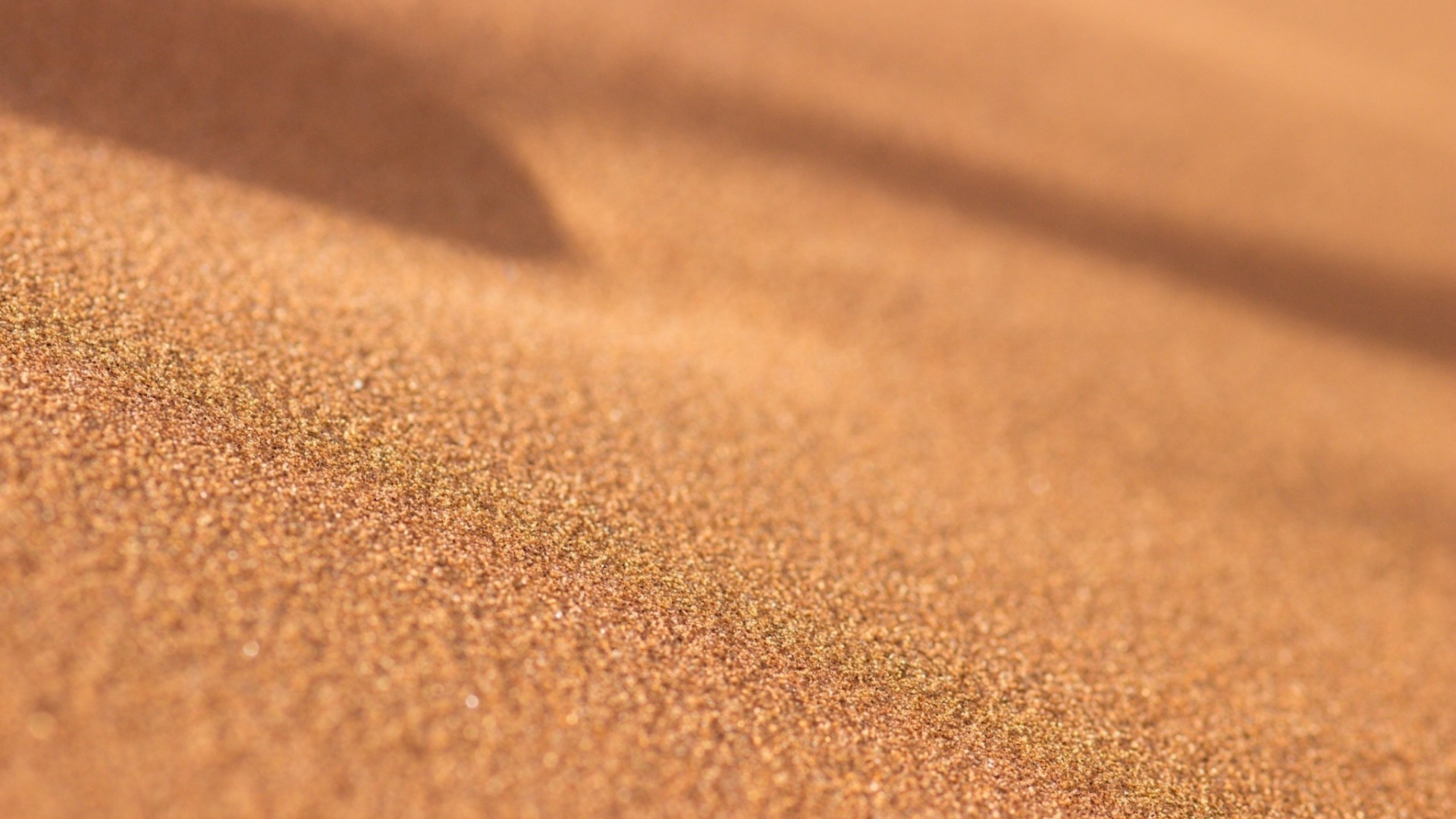 Summer Sea Sand Sun 2K Sand