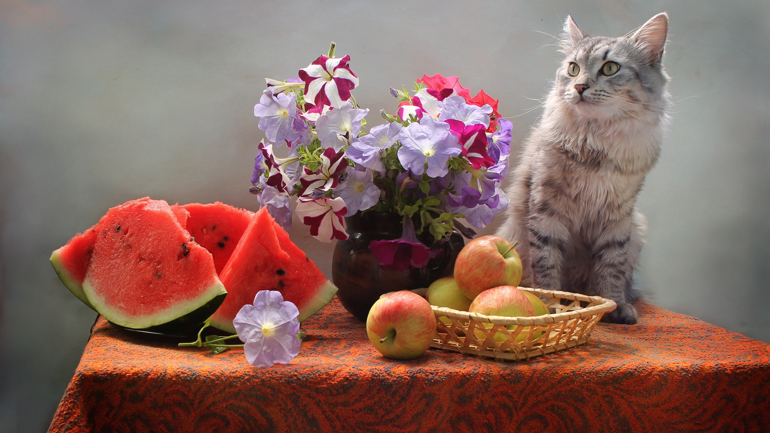 White Ash Cat Is Sitting On Table Near Fruits And Flowers Pot 2K Cat