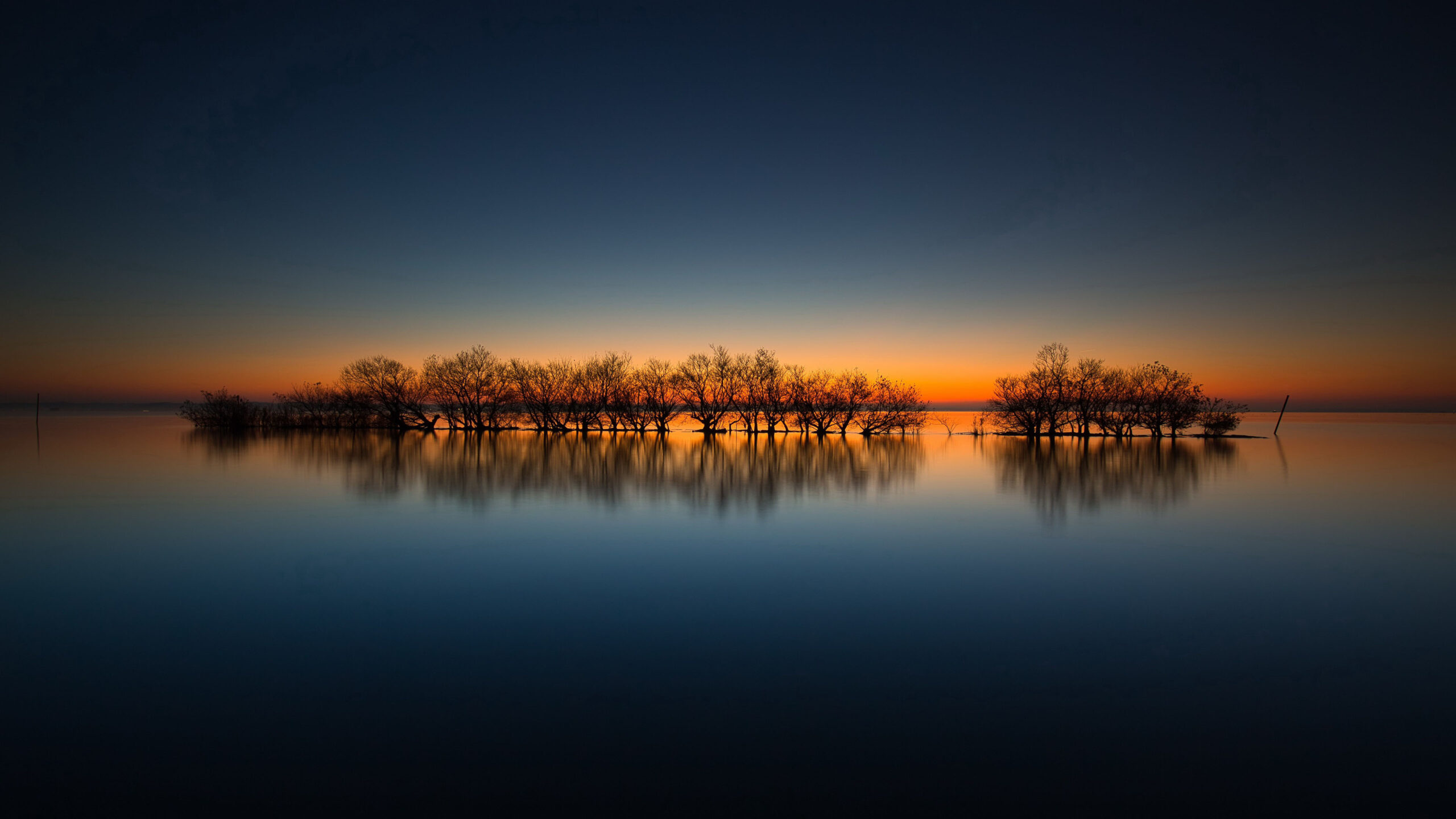 Trees On River Under Blue Sky Reflection On Water During Sunset K 2K Nature