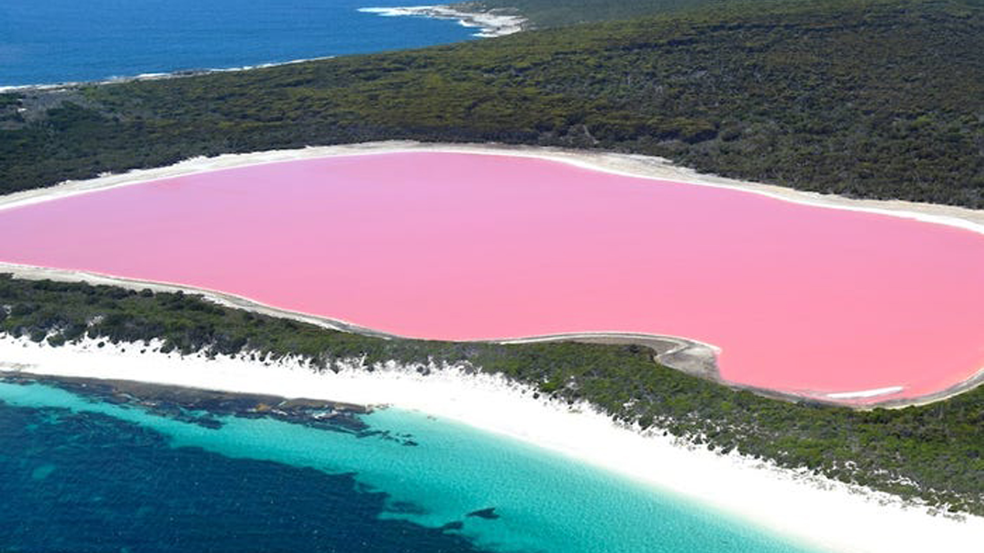 Aerial View Of Bubblegum Pink Lake Hillier Australia 2K Travel