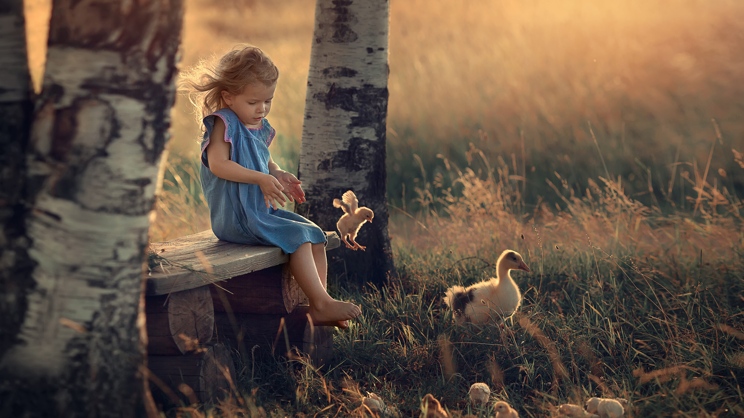 Cute Little Girl Is Playing With Hens Wearing Blue Dress 2K Cute