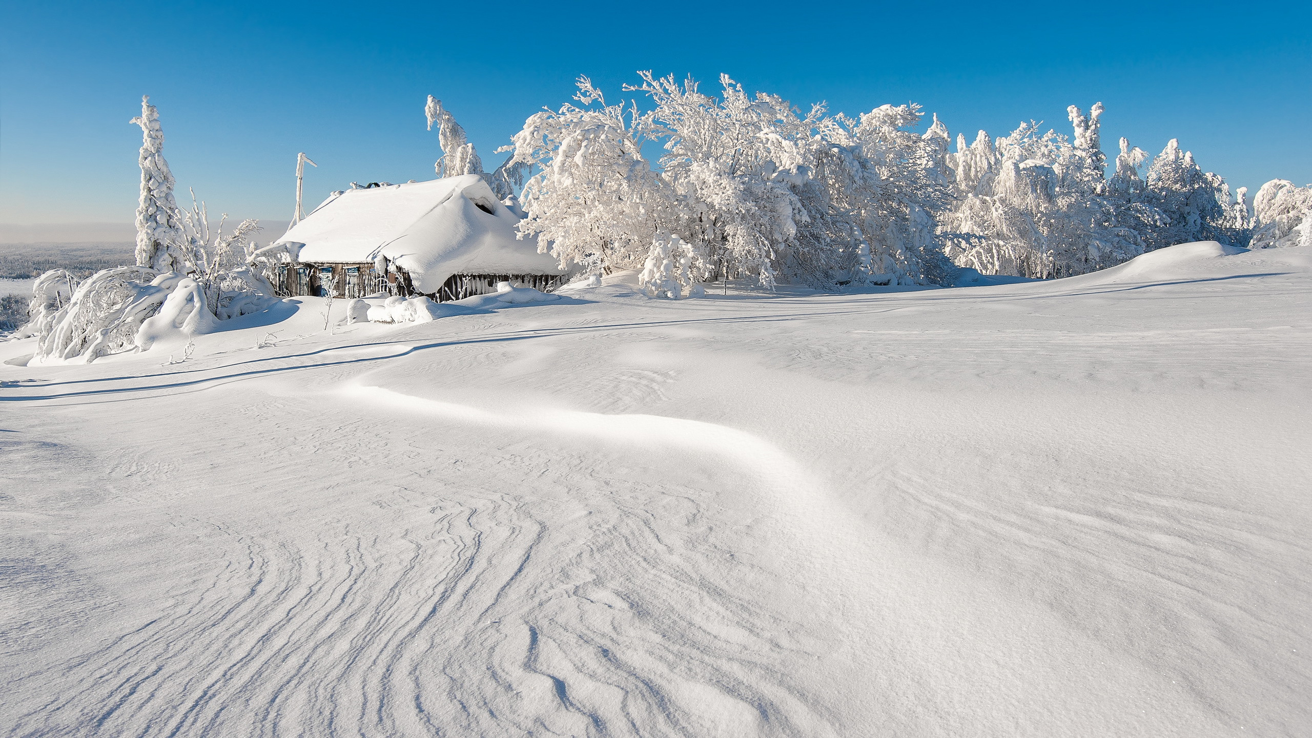 Frozen Snow Trees Hut Field In Blue Sky Wallpaper 2K Nature