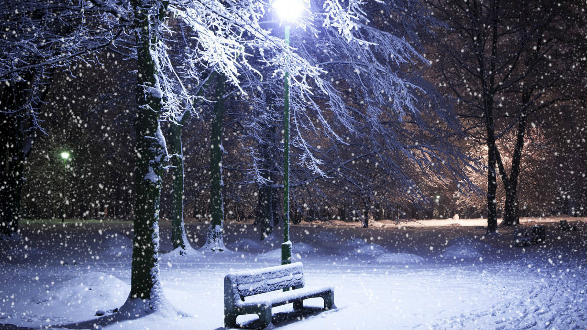 Streetlight Wood Bench Snowfall Forest Trees Photography 2K Photography