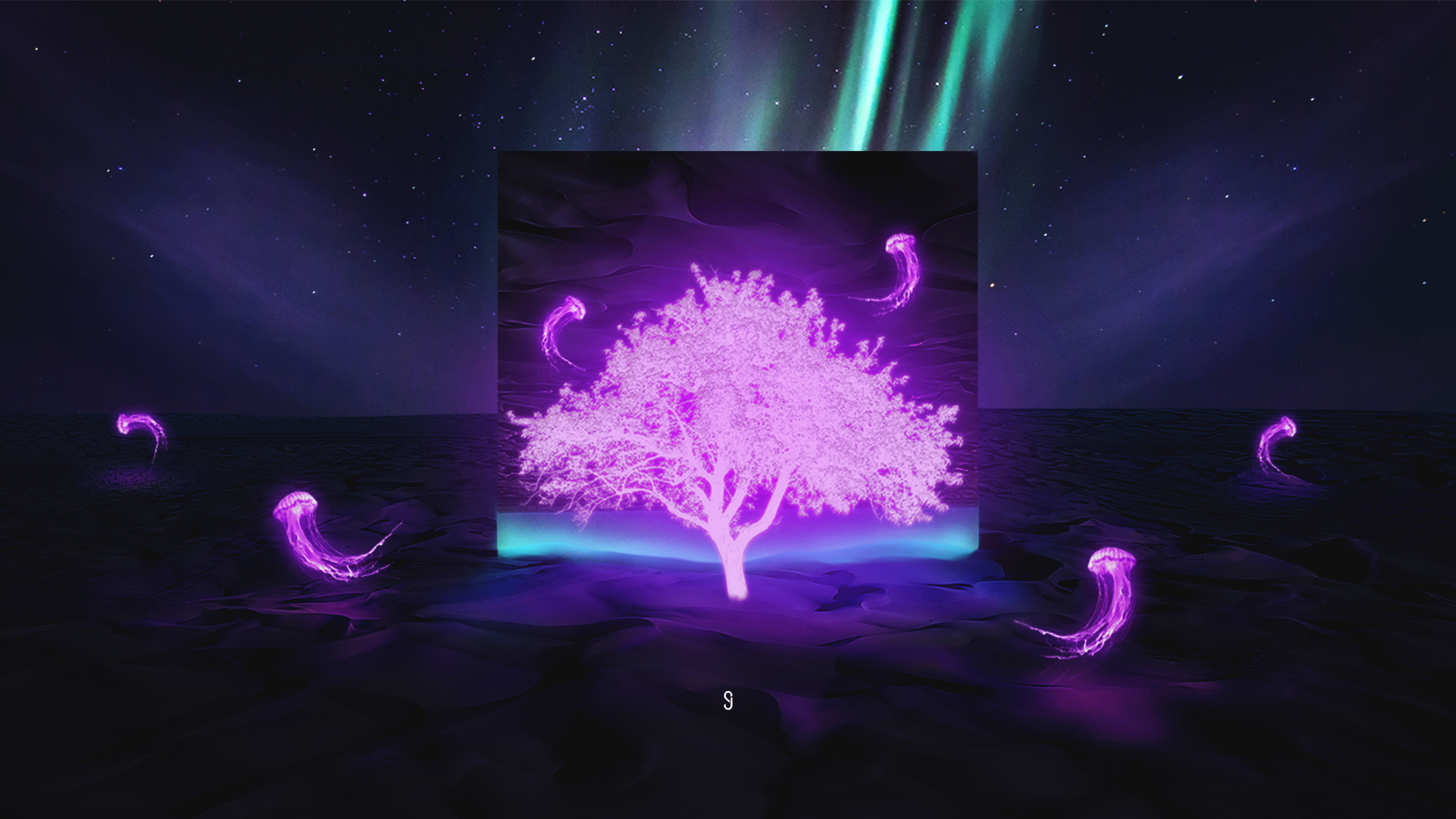 Neon Tree Jellyfishes K