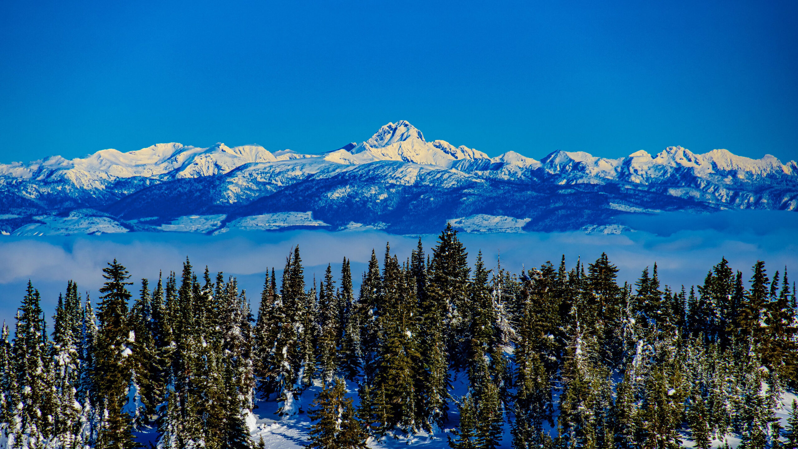 Snow Covered Mountains And Trees In Snow Field Under Blue Sky K 2K Nature