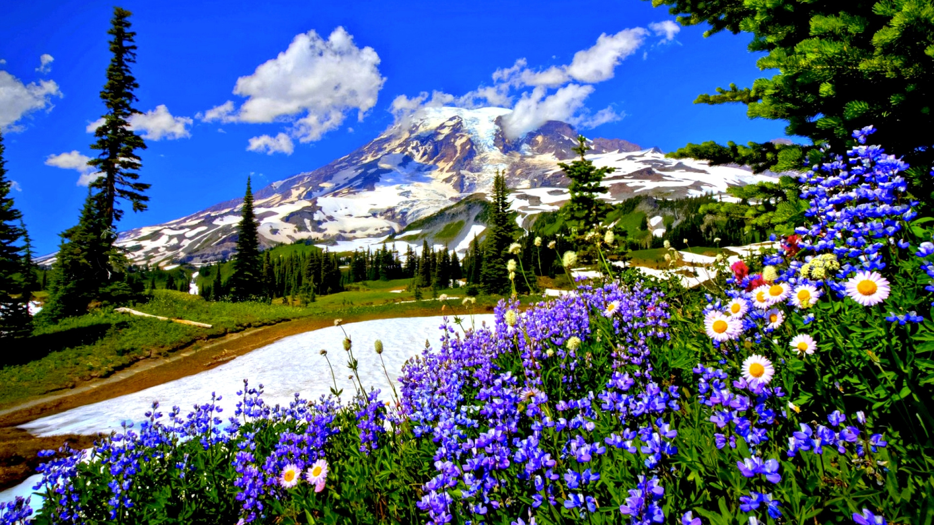 Landscape View Of Snow Covered Mountains With Colorful Spring Flowers 2K Spring Wallpaper