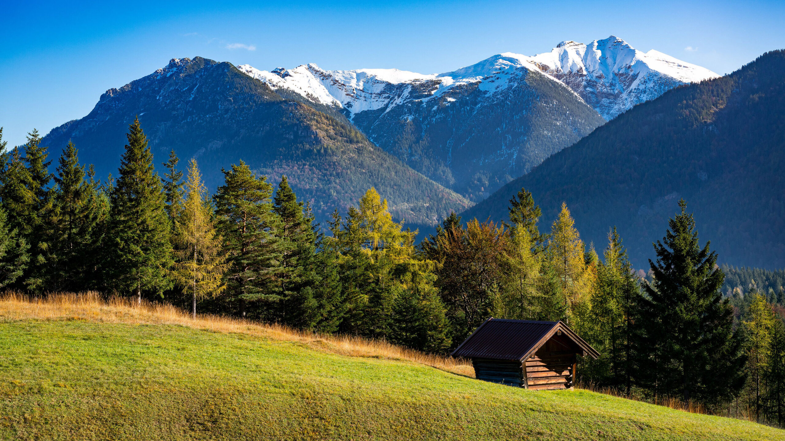 Wood House Greenery Land Autumn Trees Mountains With Snow In Blue Sky Wallpaper K 2K Nature