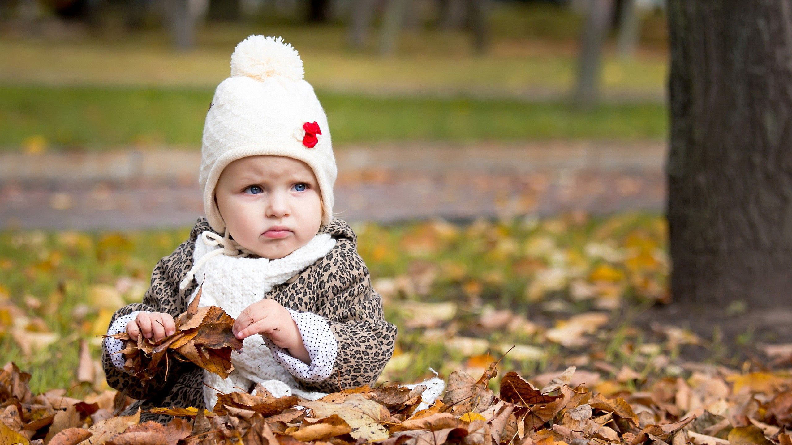 Cute Baby Girl Is Sitting On Dry Leaves Wearing Woolen Knitted Cap And Muffler In Blur Green Wallpaper 2K Cute