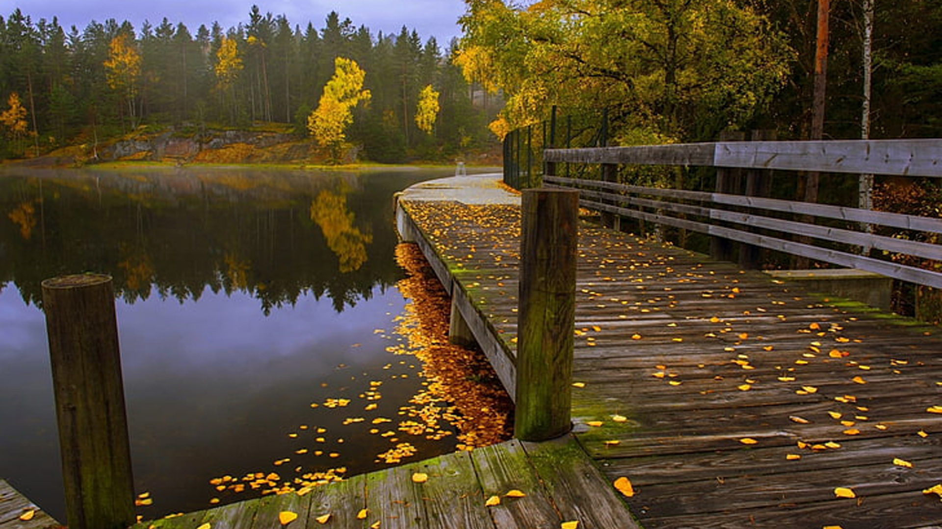 Beautiful Scenery Wood Dock Yellow Green Autumn Leaves Trees Forest Reflection On Lake 2K Nature