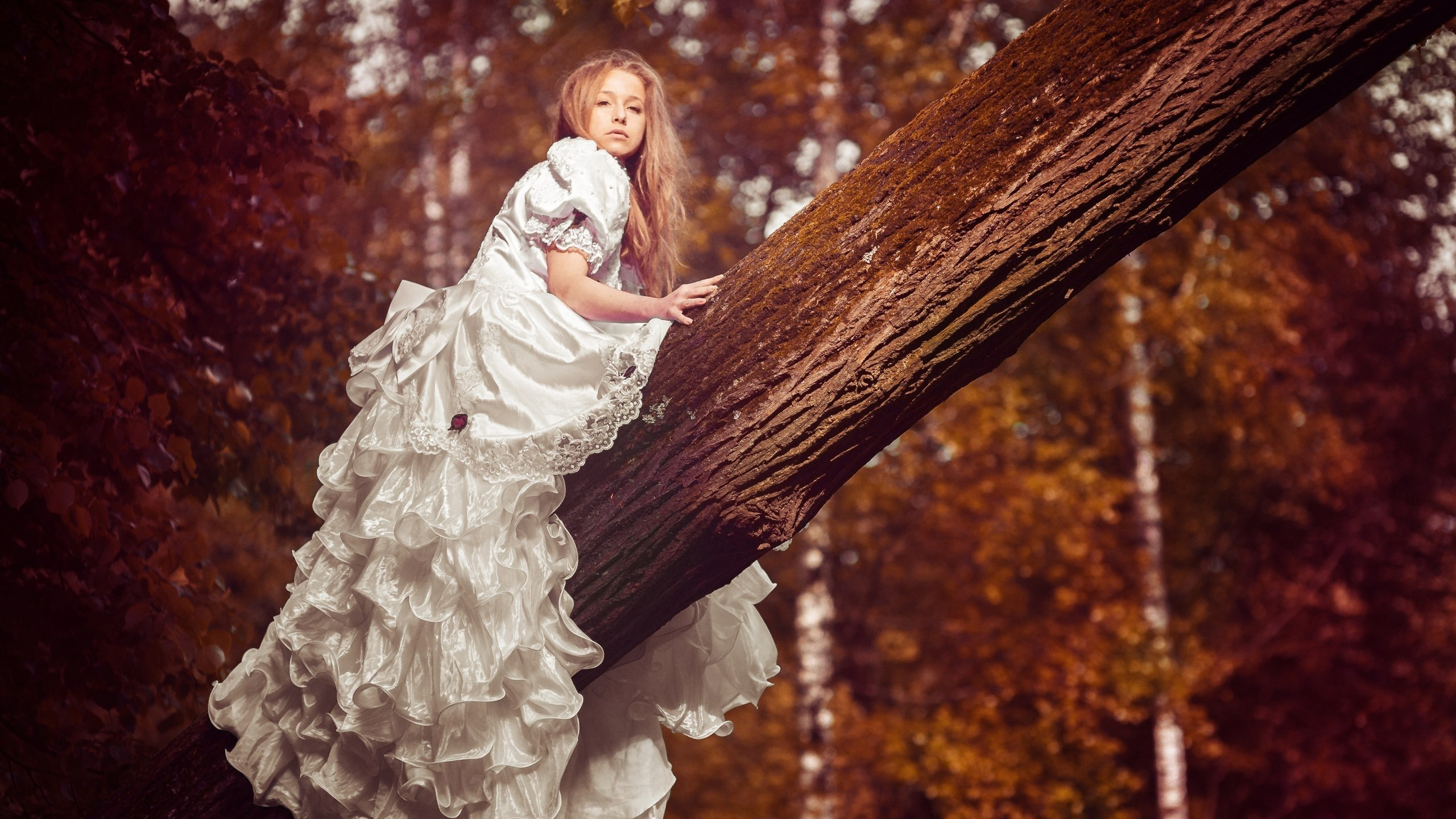 Cute Little Girl Is Sitting On Tree Trunk Wearing White Dress In Blur Leaves Wallpaper 2K Cute