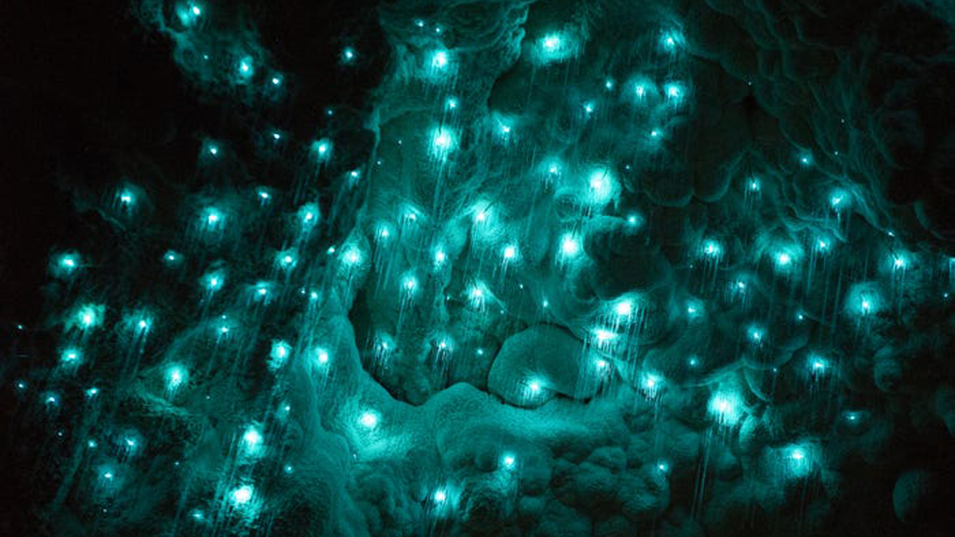 Waitomo Glowworm Caves New Zealand 2K Travel