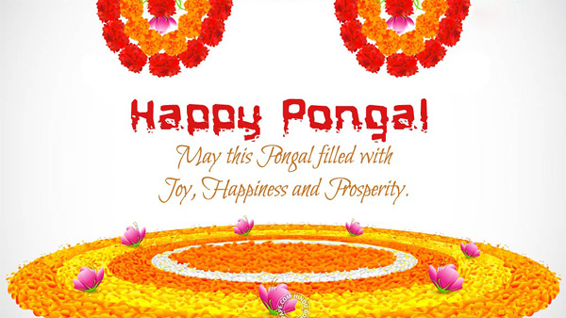 Happy Pongal May This Pongal Filled With Joy Happiness And Prosperity 2K Pongal