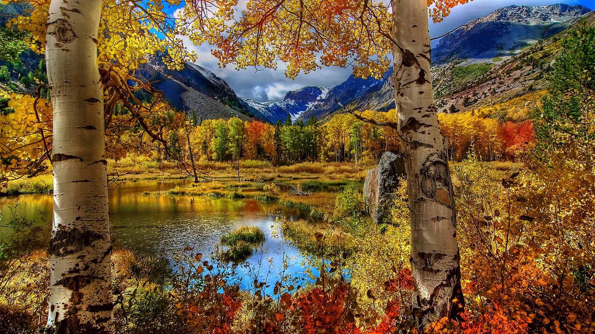 Landscape View Of Colorful Autumn Trees Forest In Mountains Wallpaper Reflection On Lake 2K Nature