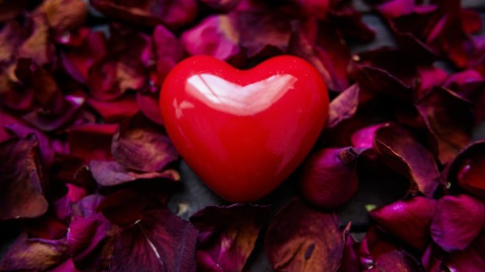 Red Heart Shape On Rose Dry Petals 2K Heart