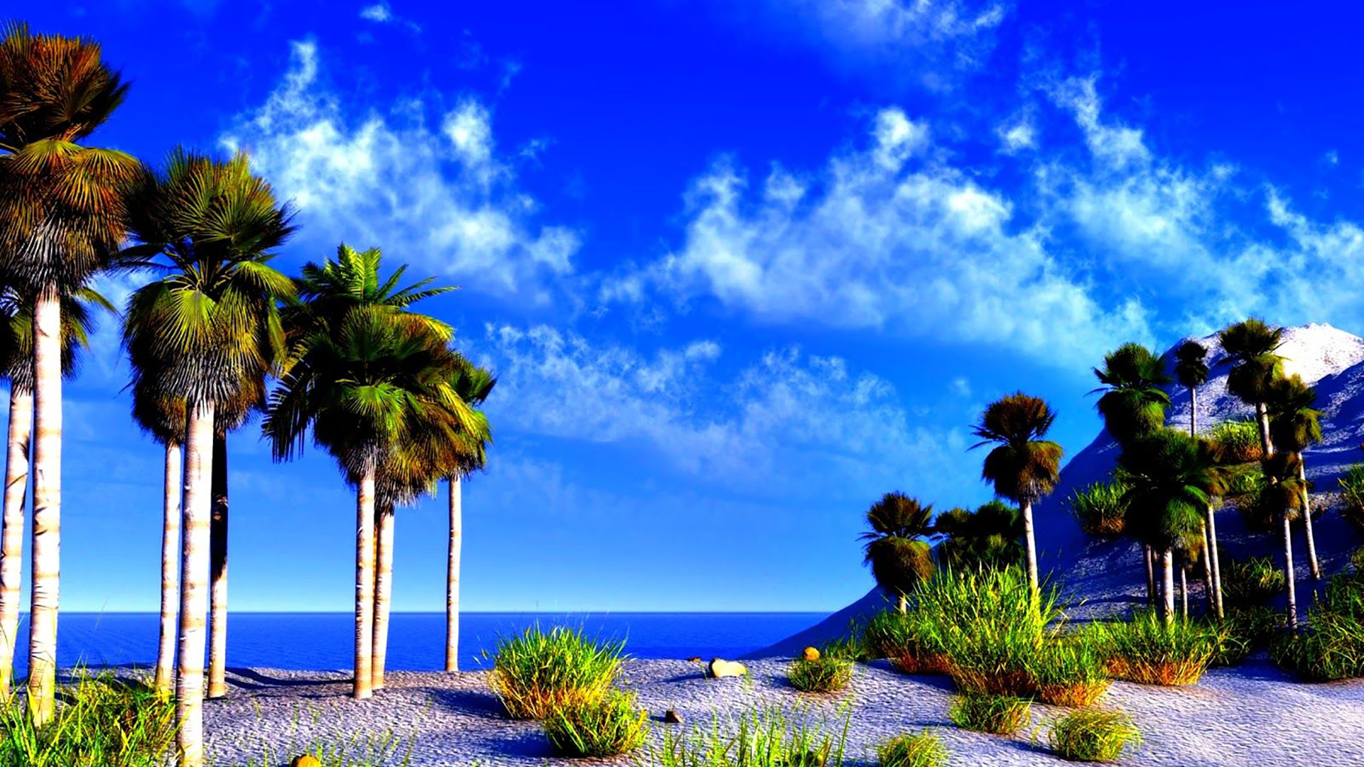 Palm Trees On Beach Sand With Landscape View Of Body Of Water Under Blue White Cloudy Sky 2K Nature