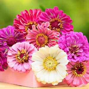 Colorful Flowers In Blur Green Wallpaper 2K Flowers