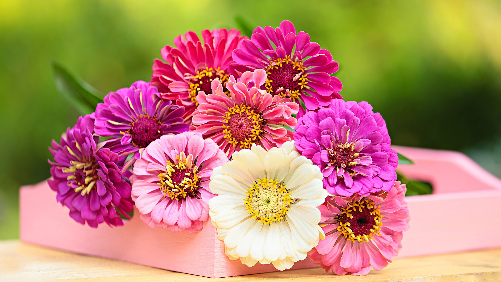 Colorful Flowers In Blur Green Wallpaper 2K Flowers