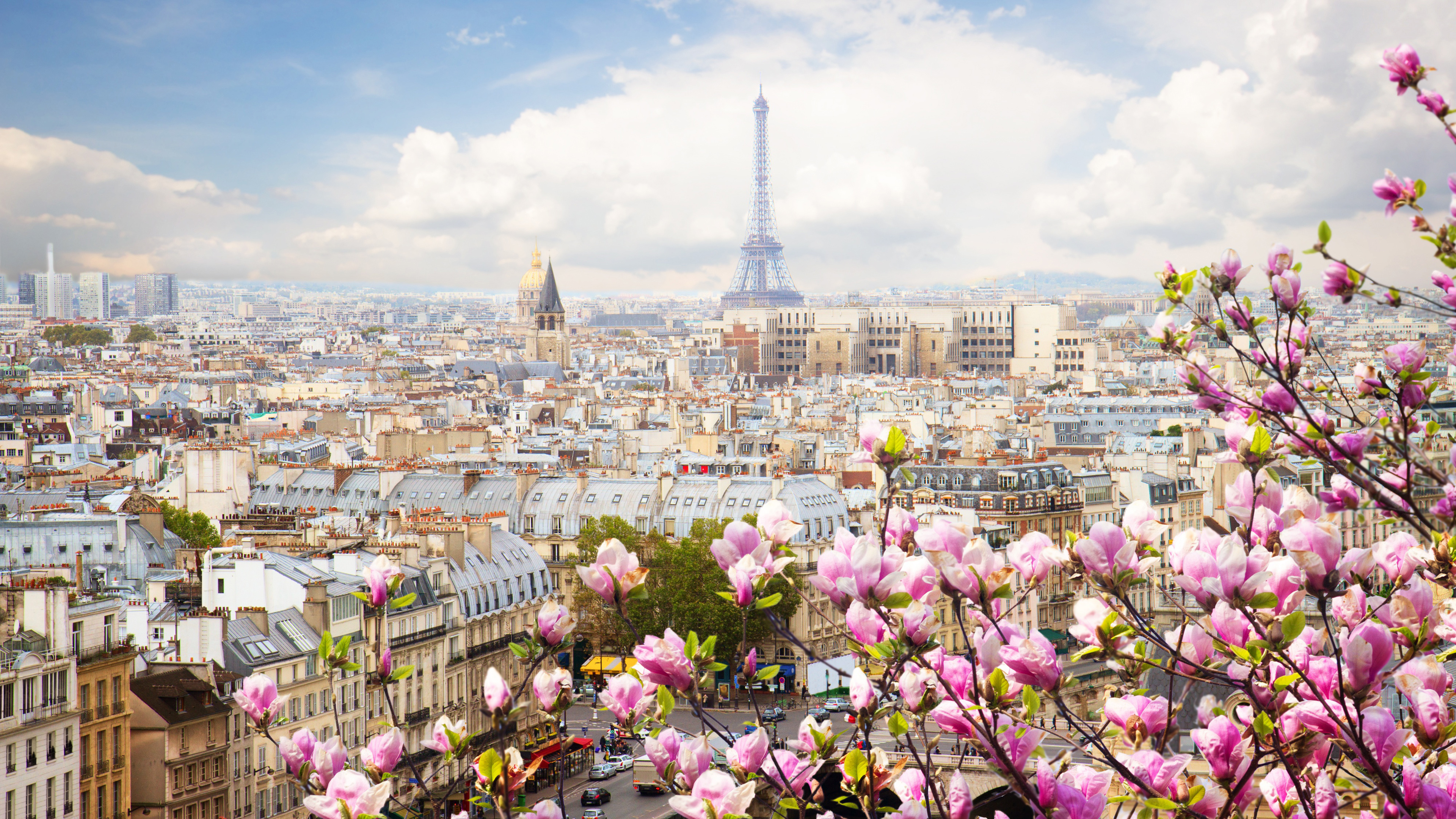 Paris Eiffel Tower And Cityscape With Purple Flowers In Front With Wallpaper Of Blue Sky And Clouds K 2K Travel