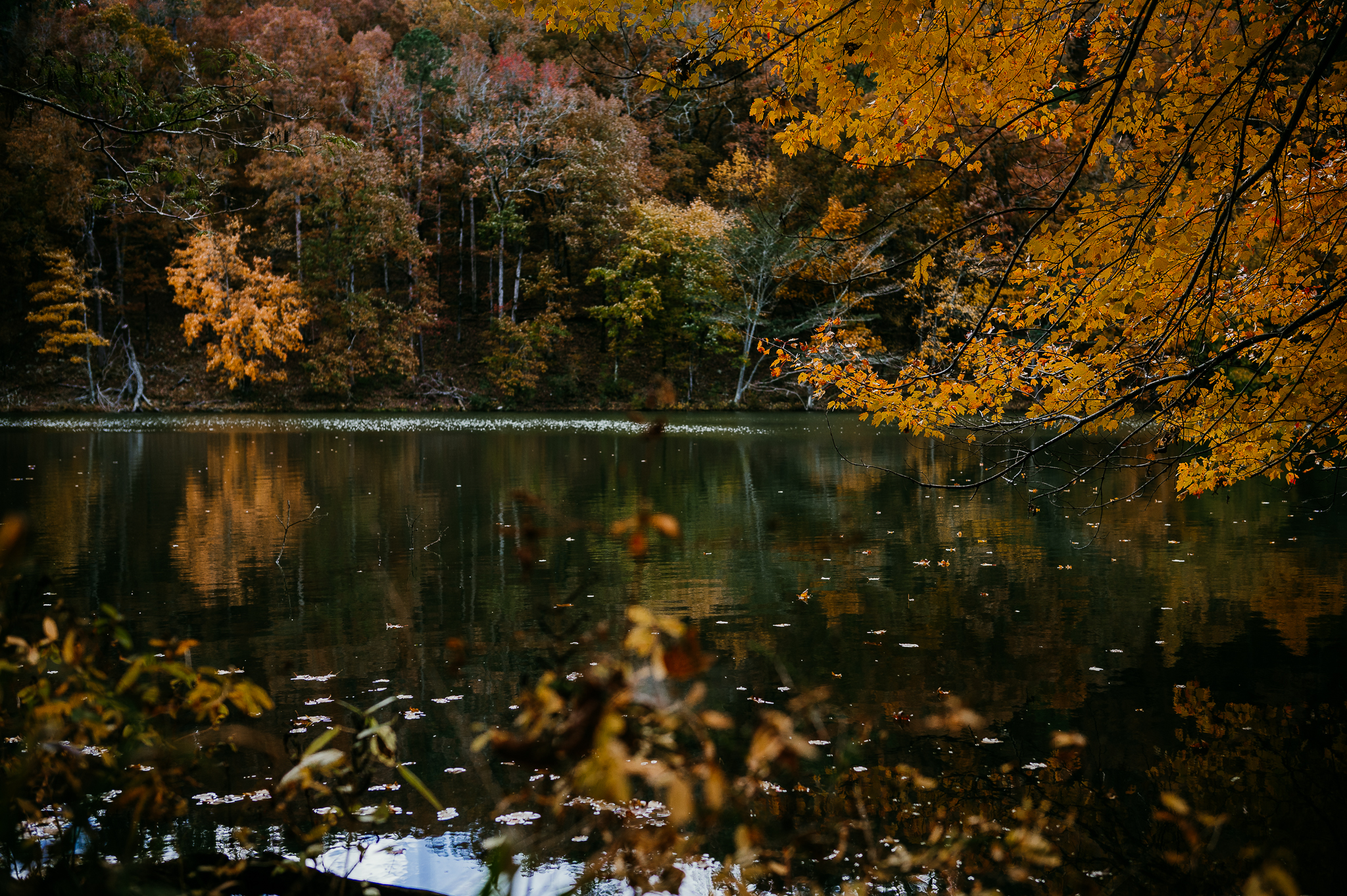 Beautiful Green Yellow Orange Fall Autumn Trees Reflection On Lake During Daytime 2K Autumn K