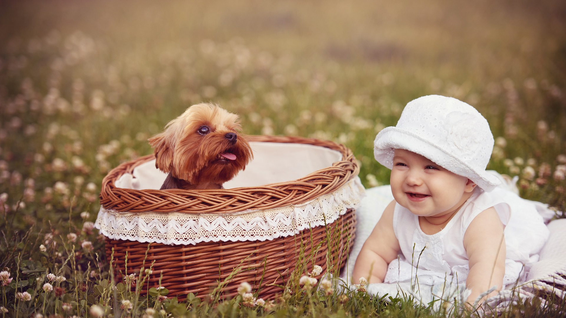 Smiley cute baby girl on green grass with flowers near brown dog inside bamboo basket wearing white dress and hat in blur Wallpaper 2K cute