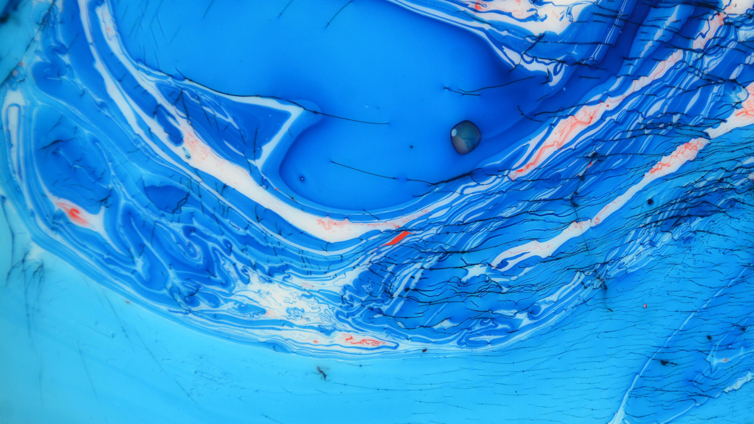 Blue White Liquid Stains Paint Abstraction K 2K Abstract