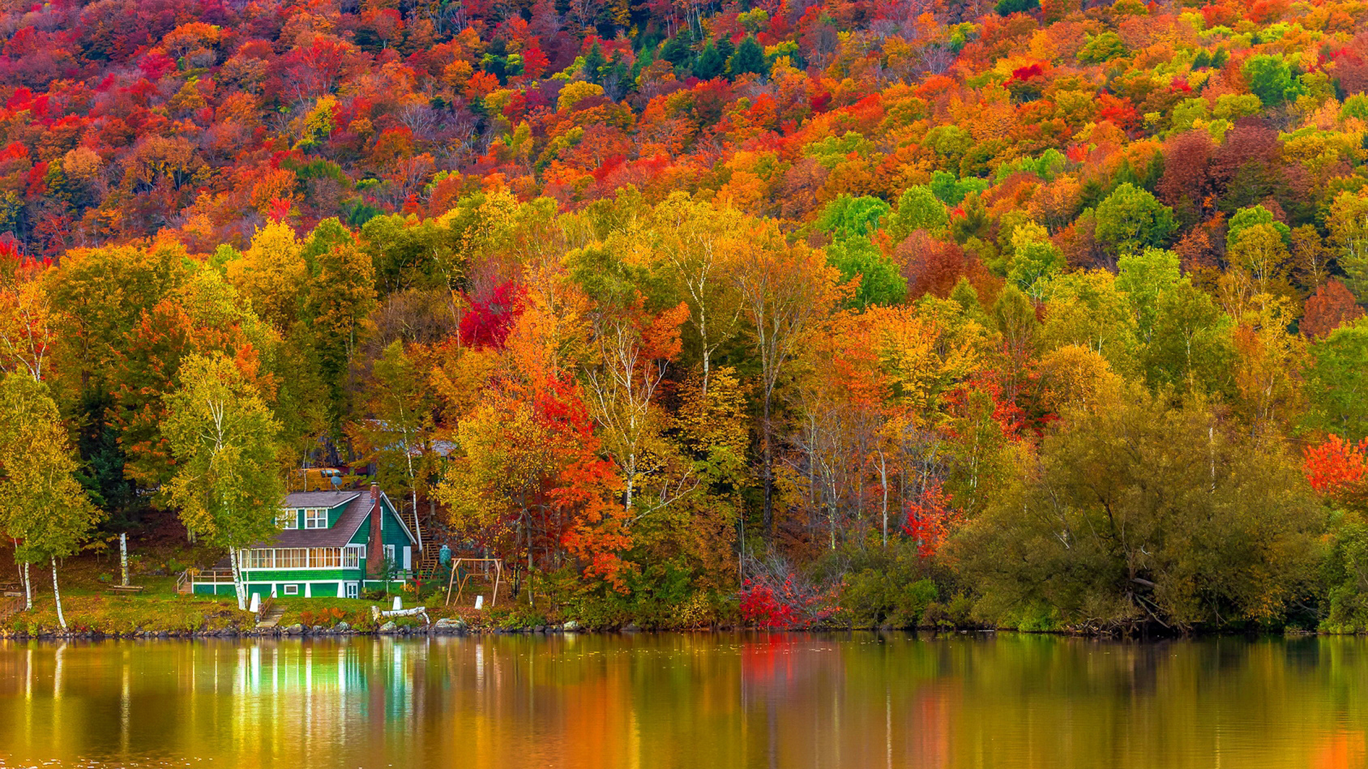 Beautiful Autumn Trees Forest Slope Green House Reflection On Lake 2K Scenery