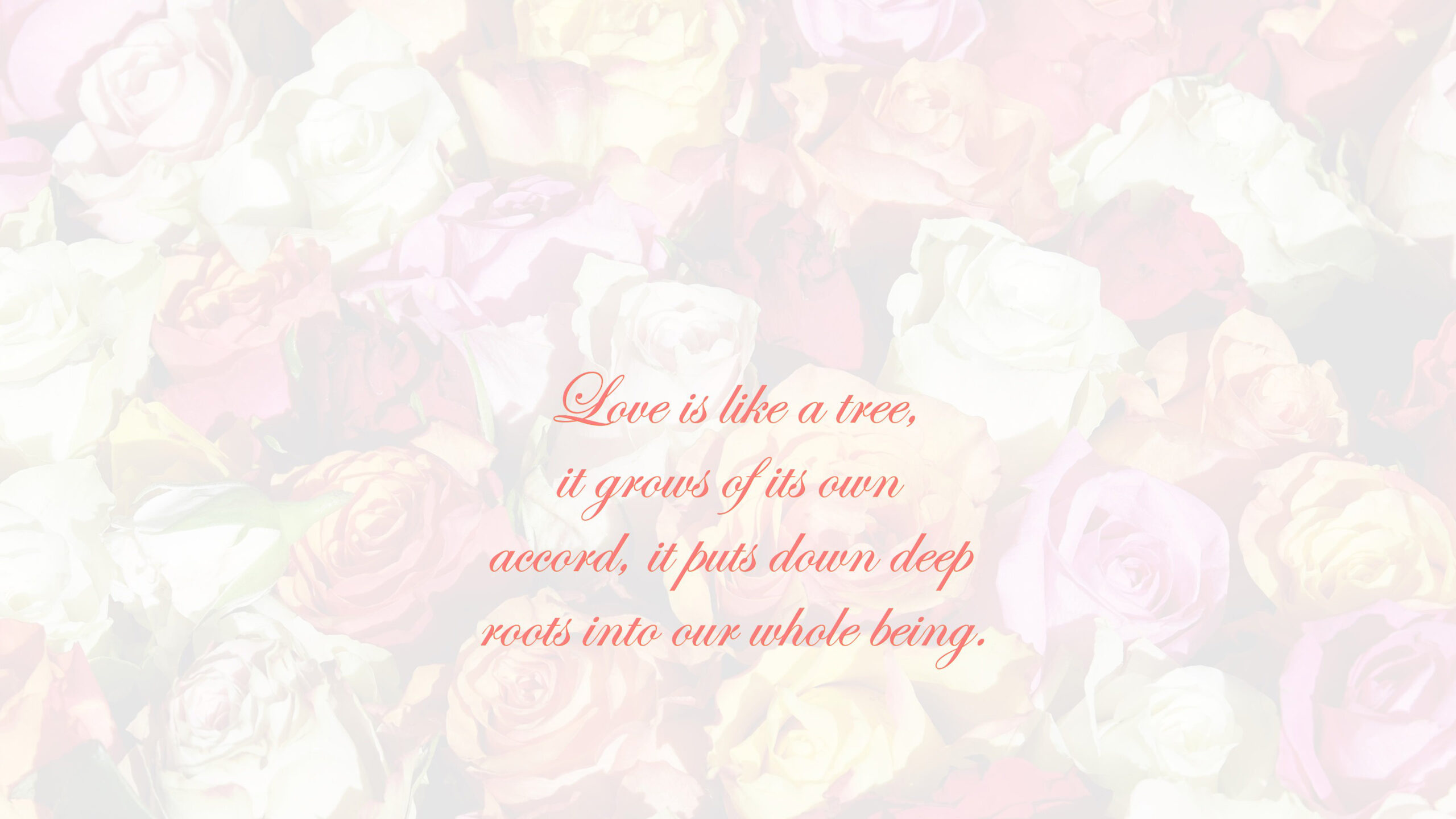 Love Is Like A Tree It Grows Of Its Own Accord K 2K Love Quotes