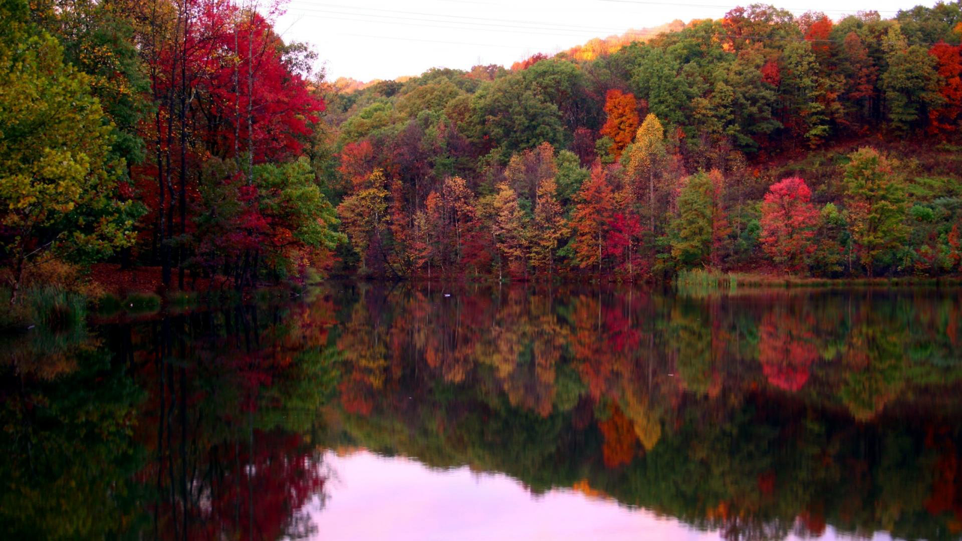 Red Yellow Green Leaves Trees Forest Reflection On River 2K Fall