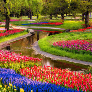 River Between Colorful Flowers With Leaves 2K Nature