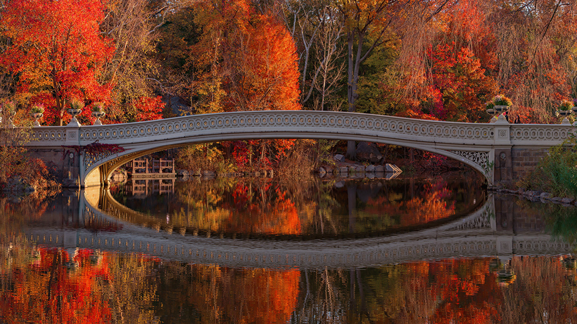 Beautiful Red Yellow Green Autumn Leaves Trees Bridge Above Lake Reflection On Water 2K Nature