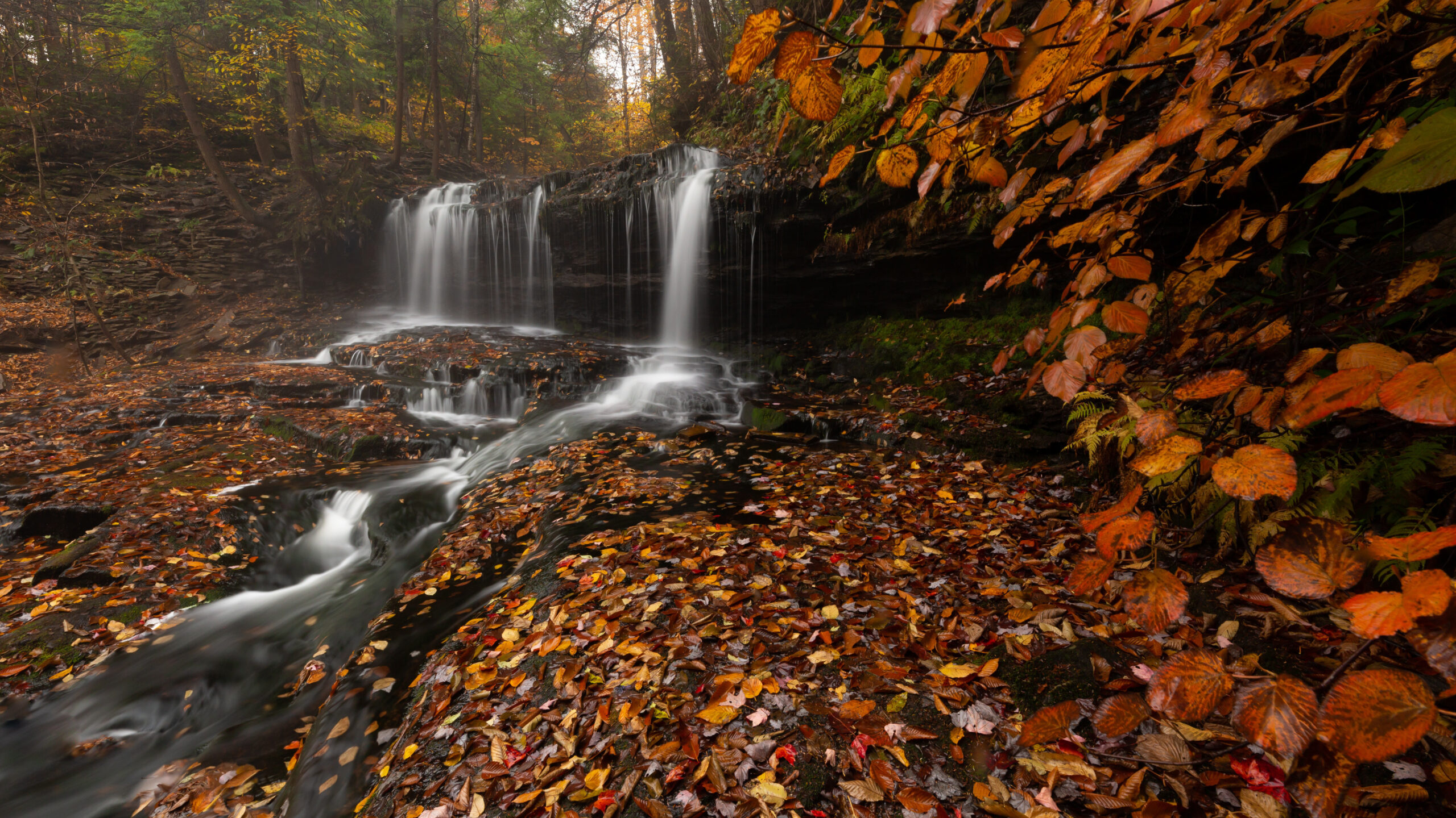 Waterfalls And Fallen Leaves From Trees During Fall K K 2K Nature